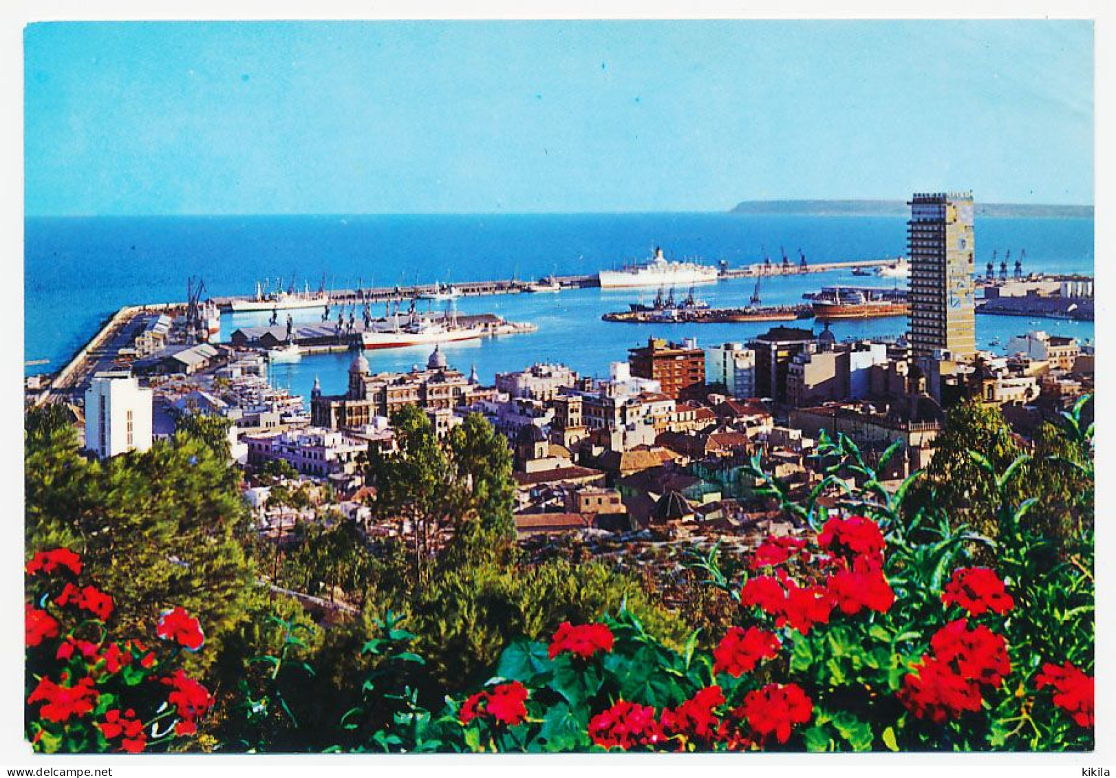 CPSM / CPM Dentelée10.5 X 15 Espagne (106) ALICANTE  Vue Générale  Le Port - Alicante