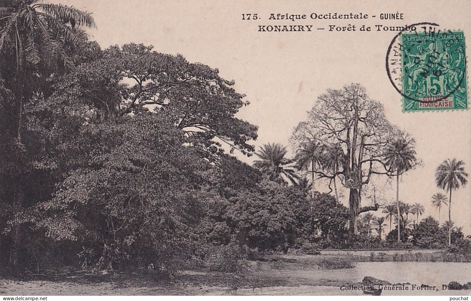 D5- AFRIQUE OCCIDENTALE - GUINEE - KONAKRY - FORET DE TOUMBA - EN 1908 - Frans Guinee