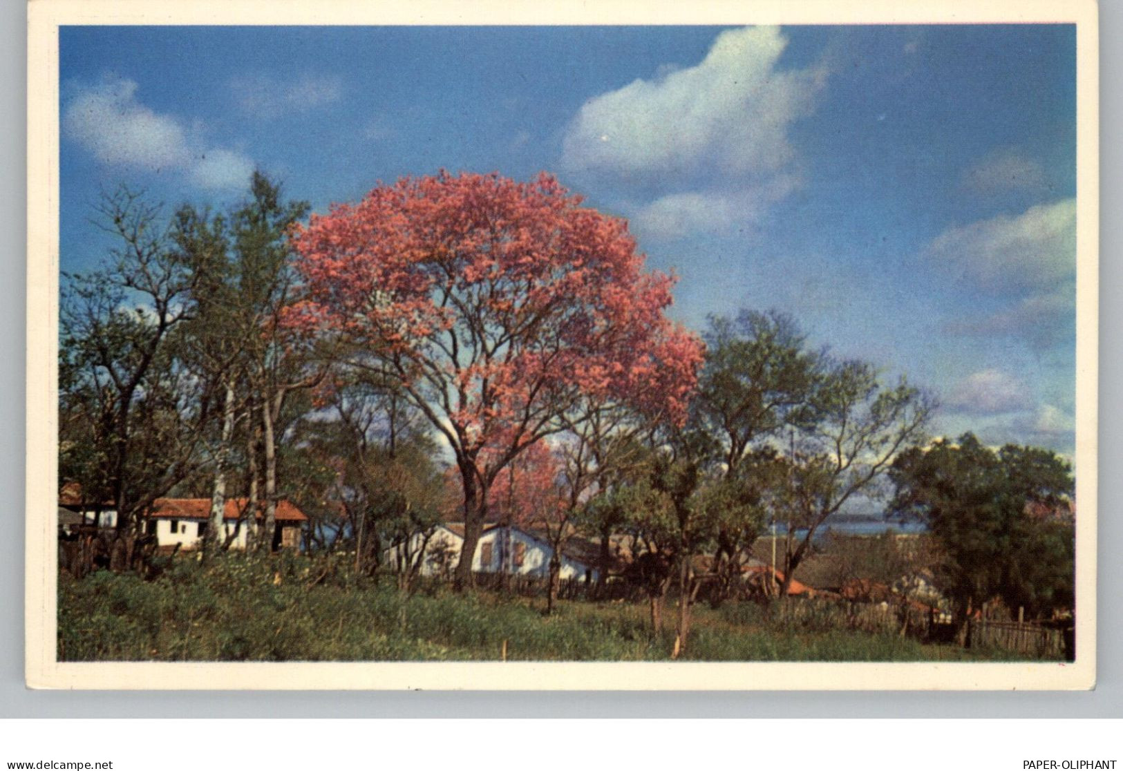 PARAGUAY, Suburbios De Encarnacion... - Paraguay