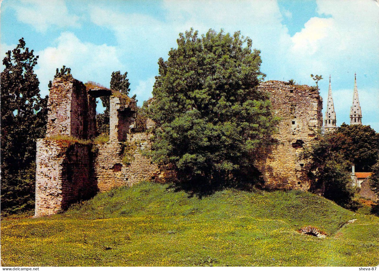 44 - Machecoul - Le Château De Barbe Bleu - Machecoul