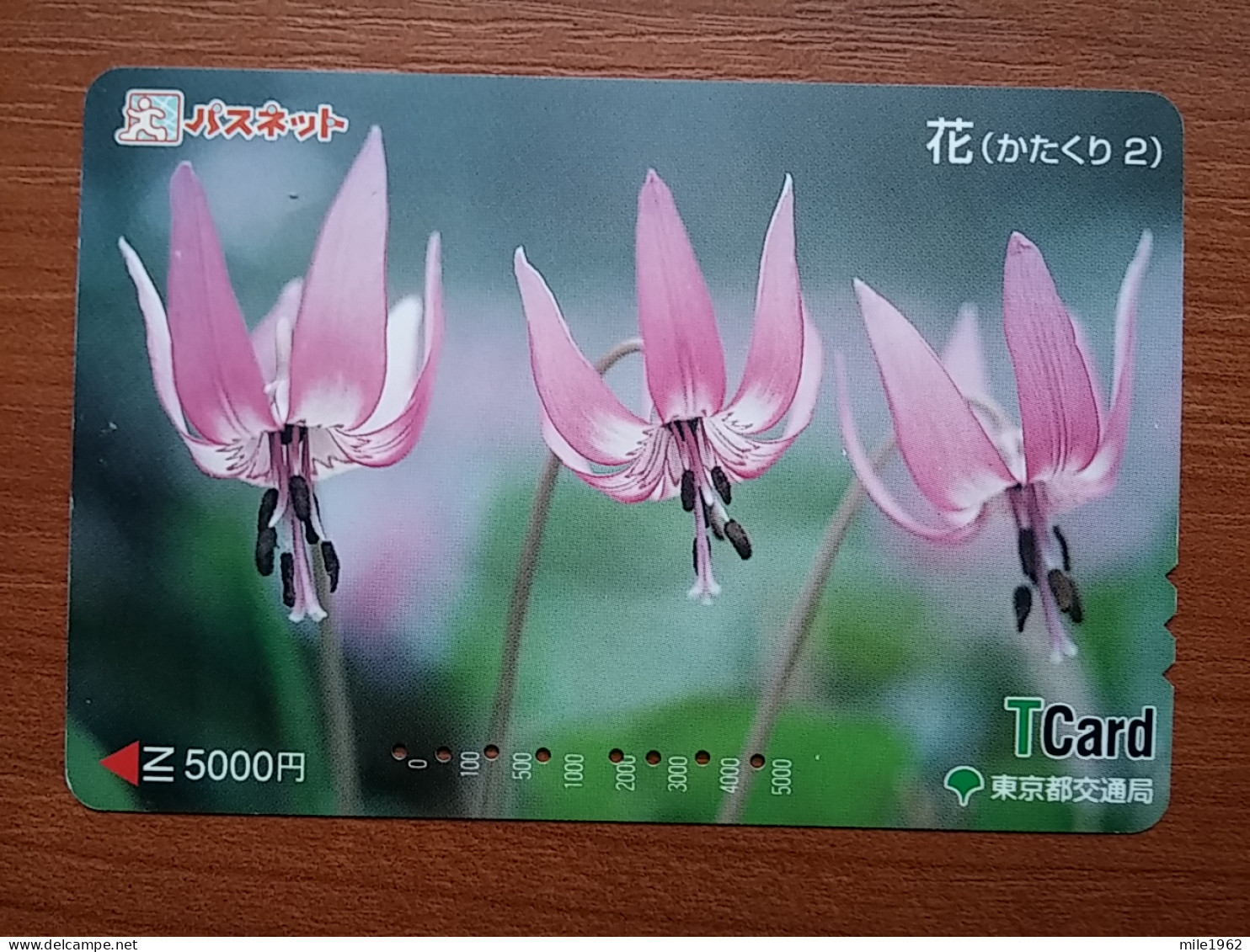 T-531 - JAPAN, Japon, Nipon, Carte Prepayee, Prepaid Card, FLOWER, FLEUR - Other & Unclassified