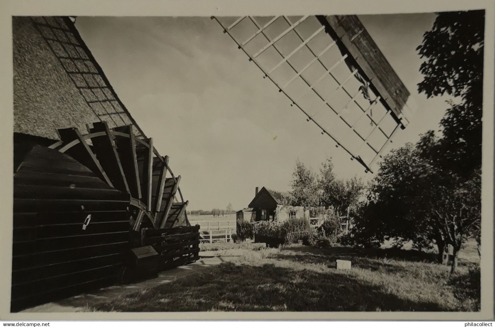 NL Onbekend Waar Molen - Windmill 1946? - Altri & Non Classificati