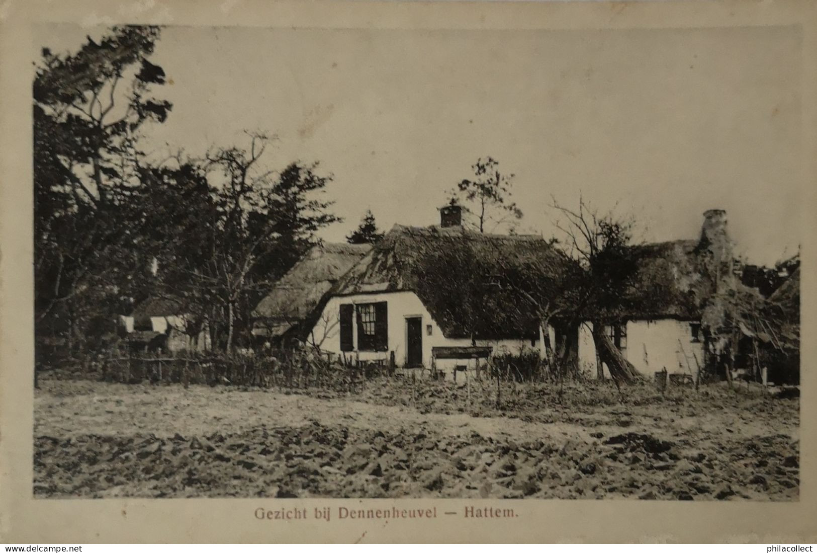 Hattem // Gezicht Op Dennenheuvel 1920 - Hattem