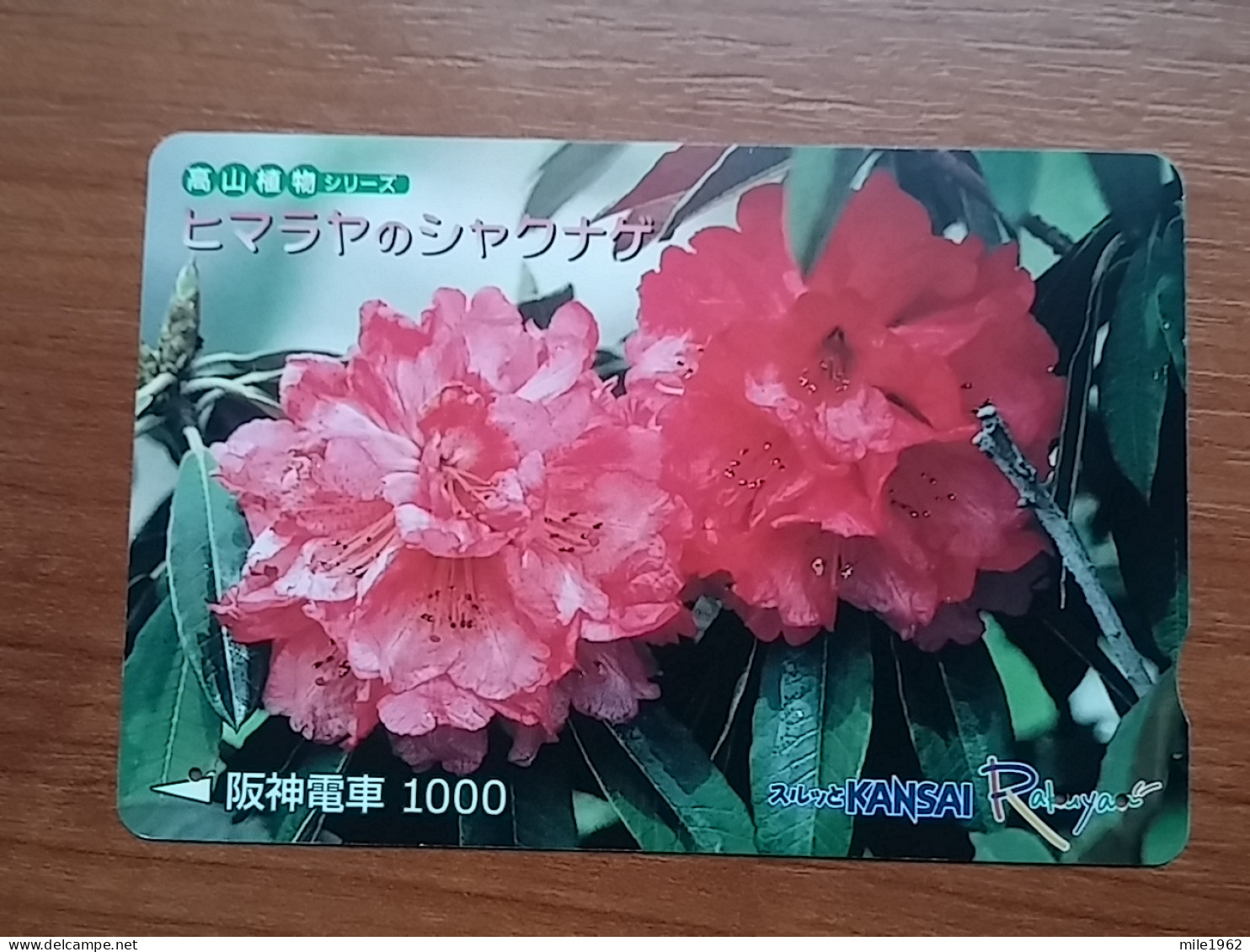 T-541 - JAPAN, Japon, Nipon, Carte Prepayee, Prepaid Card, Lagare Card KANSAI, FLOWER, FLEUR - Other & Unclassified