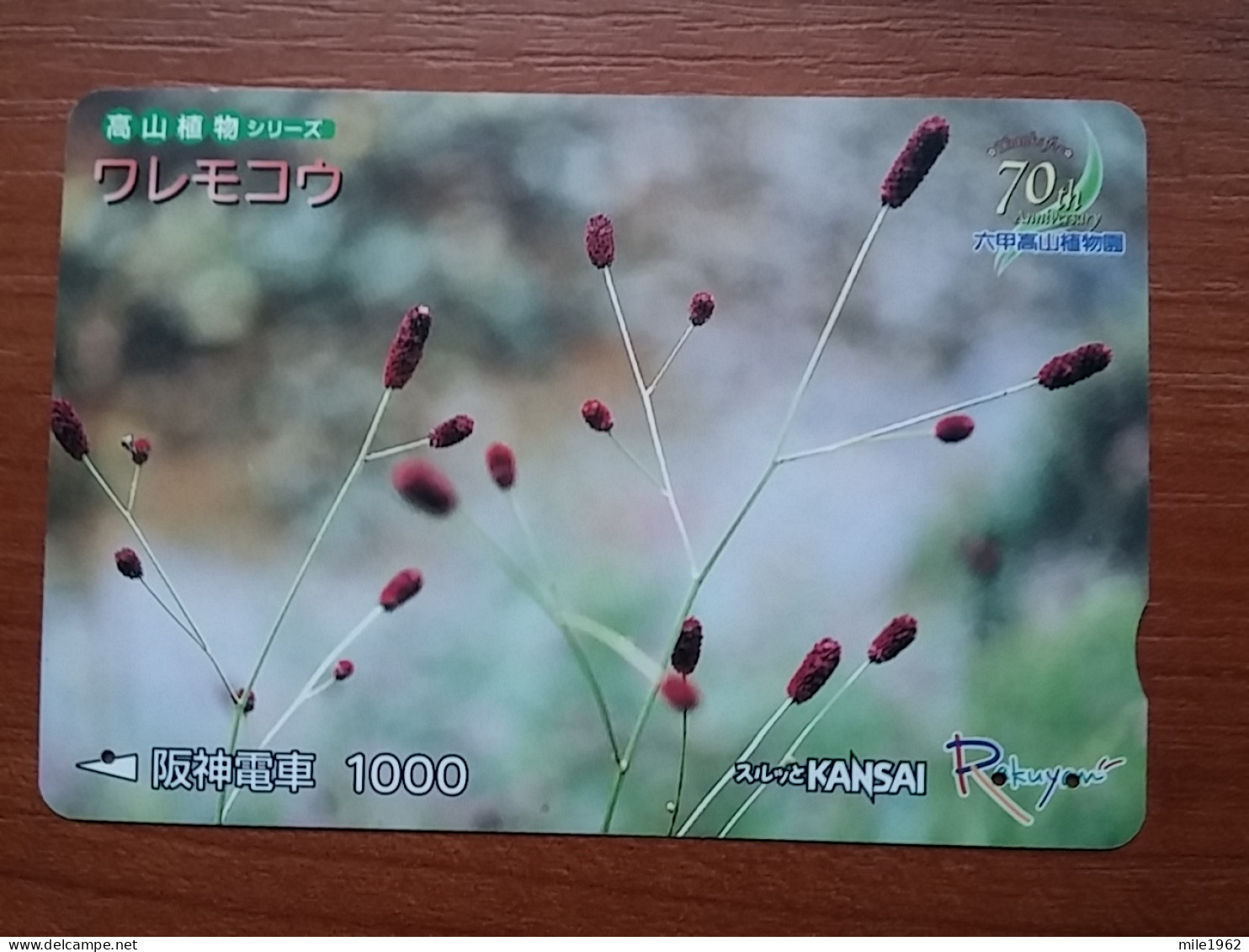 T-541 - JAPAN, Japon, Nipon, Carte Prepayee, Prepaid Card, Lagare Card KANSAI, FLOWER, FLEUR - Other & Unclassified