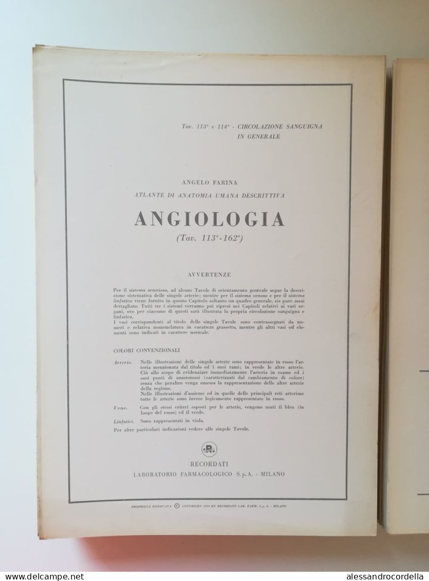 Atlante di anatomia umana descrittiva - Angelo Farina