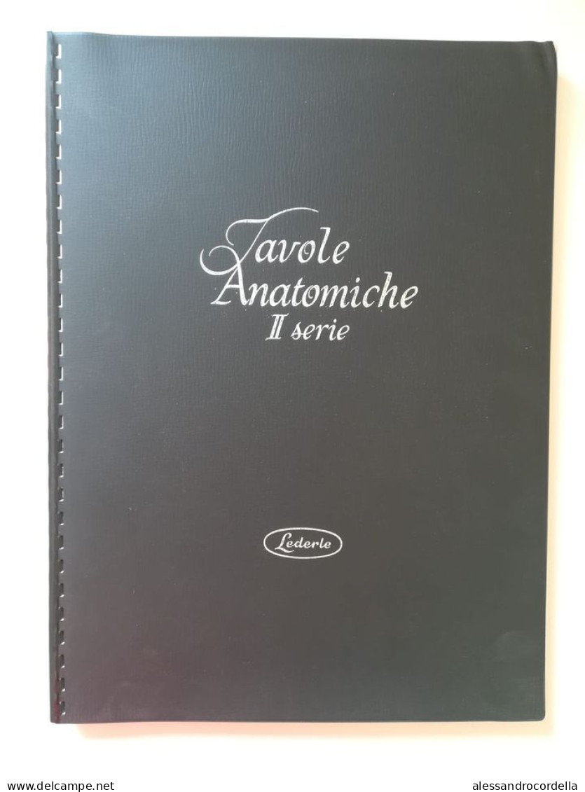 Tavole Anatomiche 1 / 2 Serie - LEDERLE - Medicina, Biología, Química