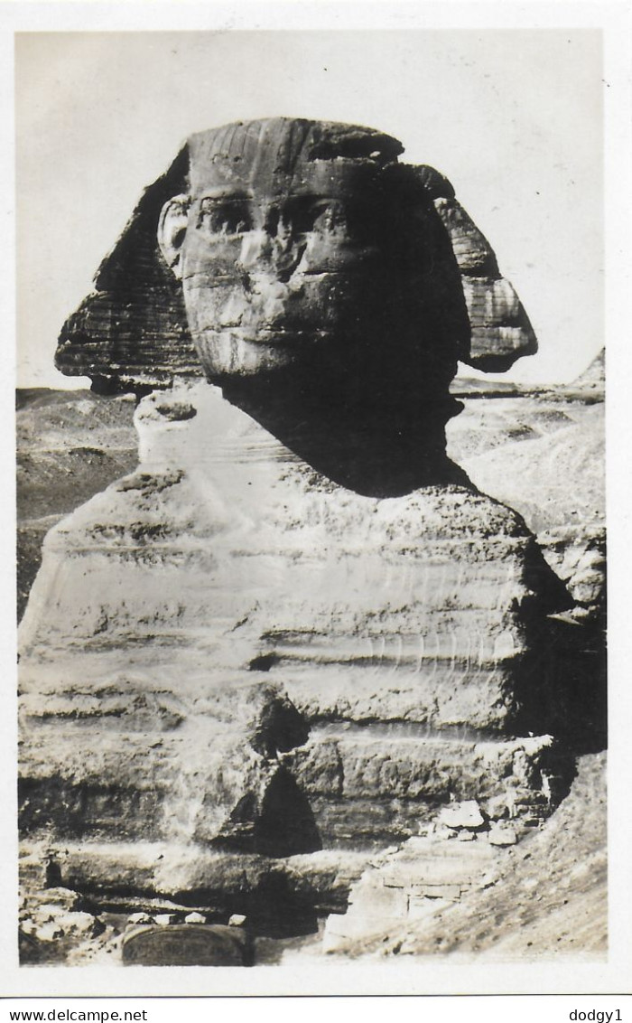 THE SPHINX, EGYPT. UNUSED POSTCARD    Ph9 - Sfinge