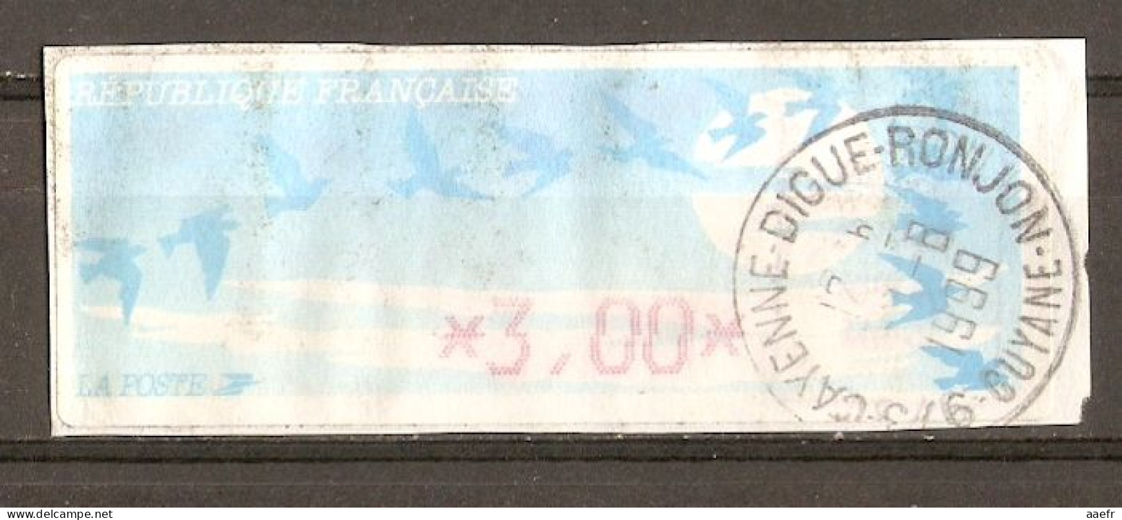 France - Guyane 1999 - Vignette ATM Type Oiseaux De Joubert - Cayenne - Digue-Ronjon - 1990 Type « Oiseaux De Jubert »