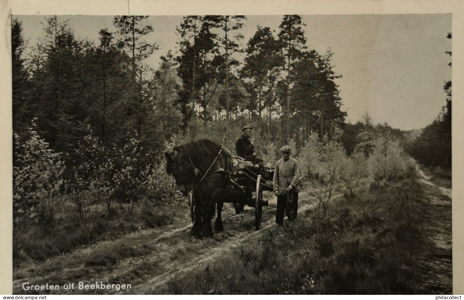 Beekbergen (Apeldoorn) Groeten Uit - Landleven Paard En Wagen 1958 - Otros & Sin Clasificación