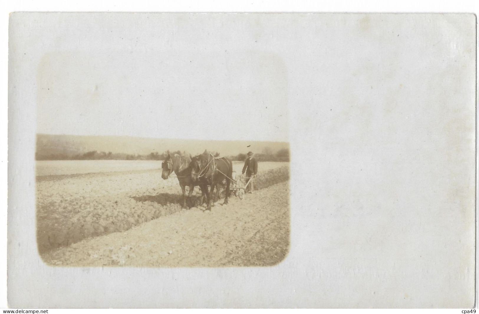 45   AGRICULTURE  CARTE  PHOTO - Autres & Non Classés