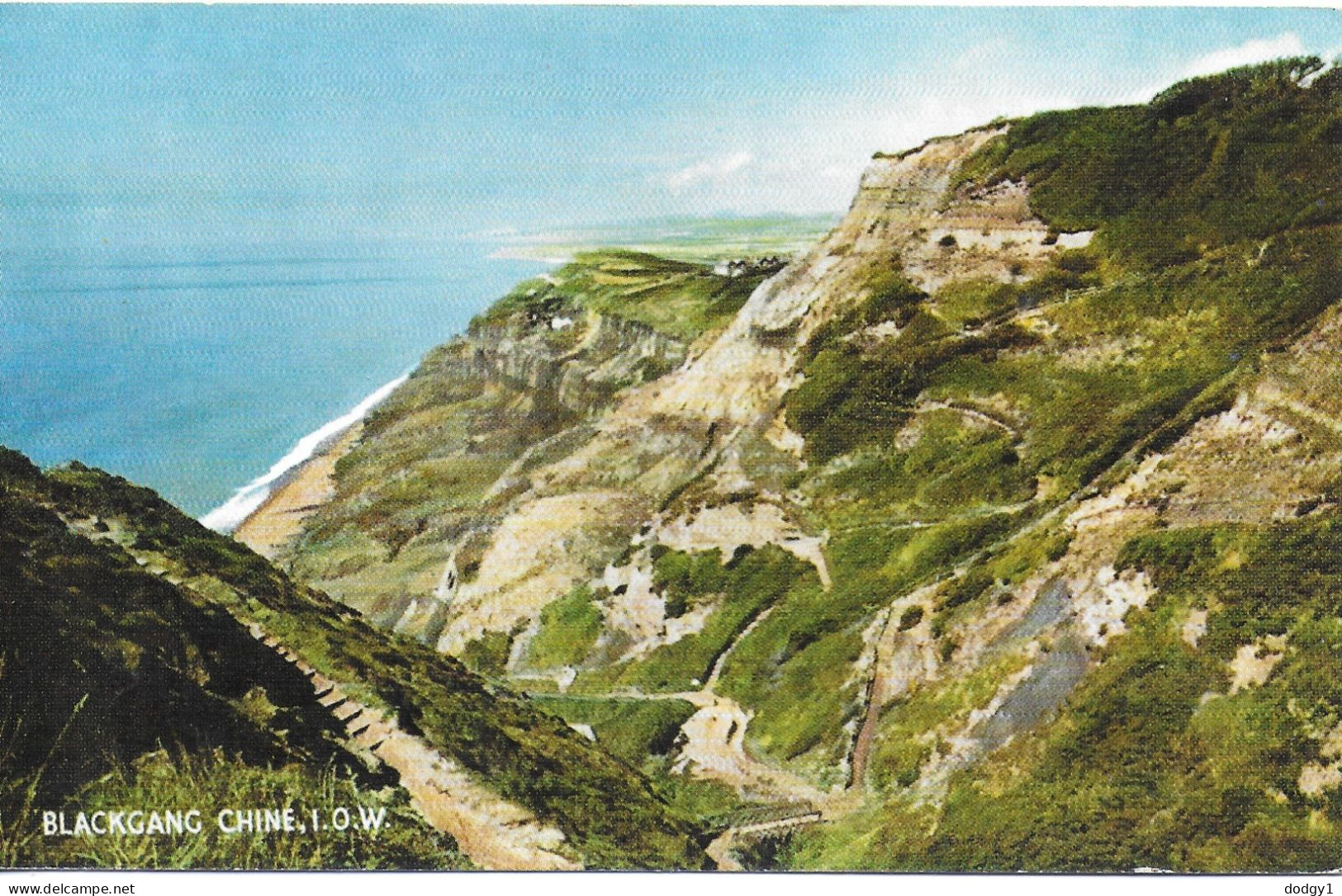 BLACKGANG CHINE, VENTNOR, ISLE OF WIGHT, ENGLAND. UNUSED POSTCARD    Ps2 - Ventnor