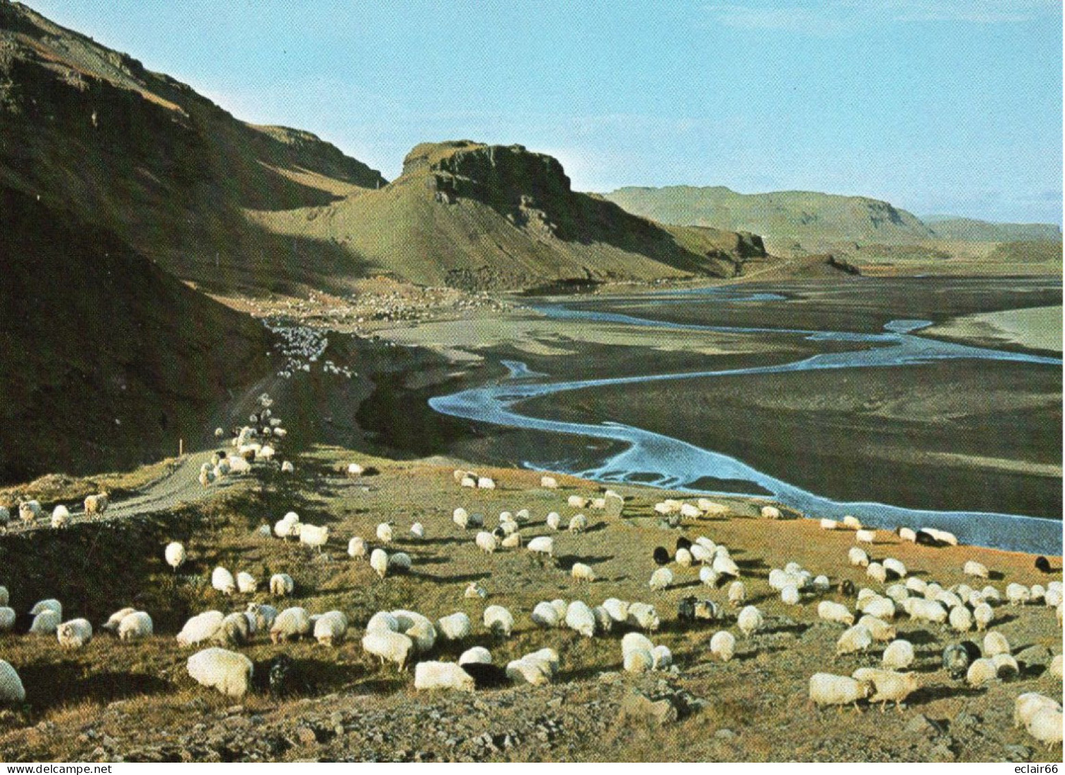 Troupeau De Moutons En Islande, Conduit Des Hautes Terres Jusqu'à Un Enclos De Tri.  La Vallée De Þjórsárdalur Et Gauks - Islande