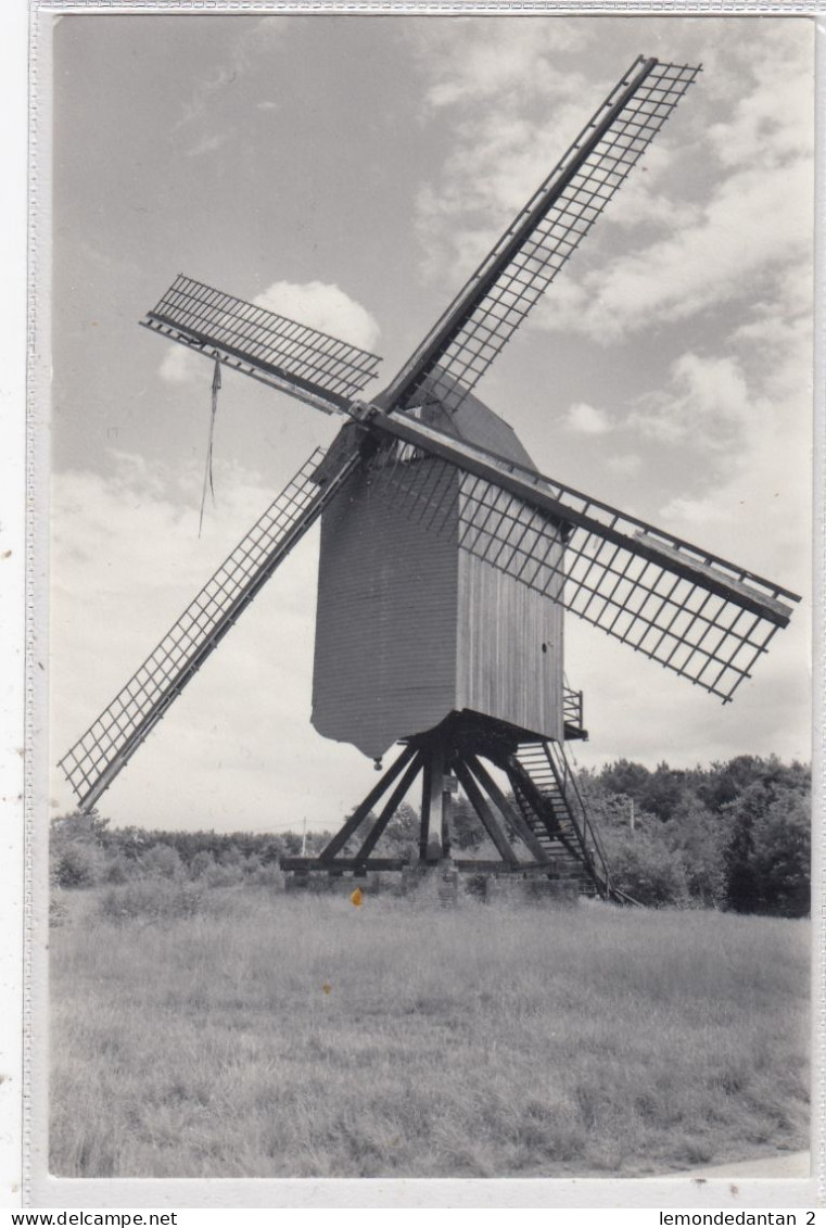 Langdorp. Heimolen. * - Aarschot