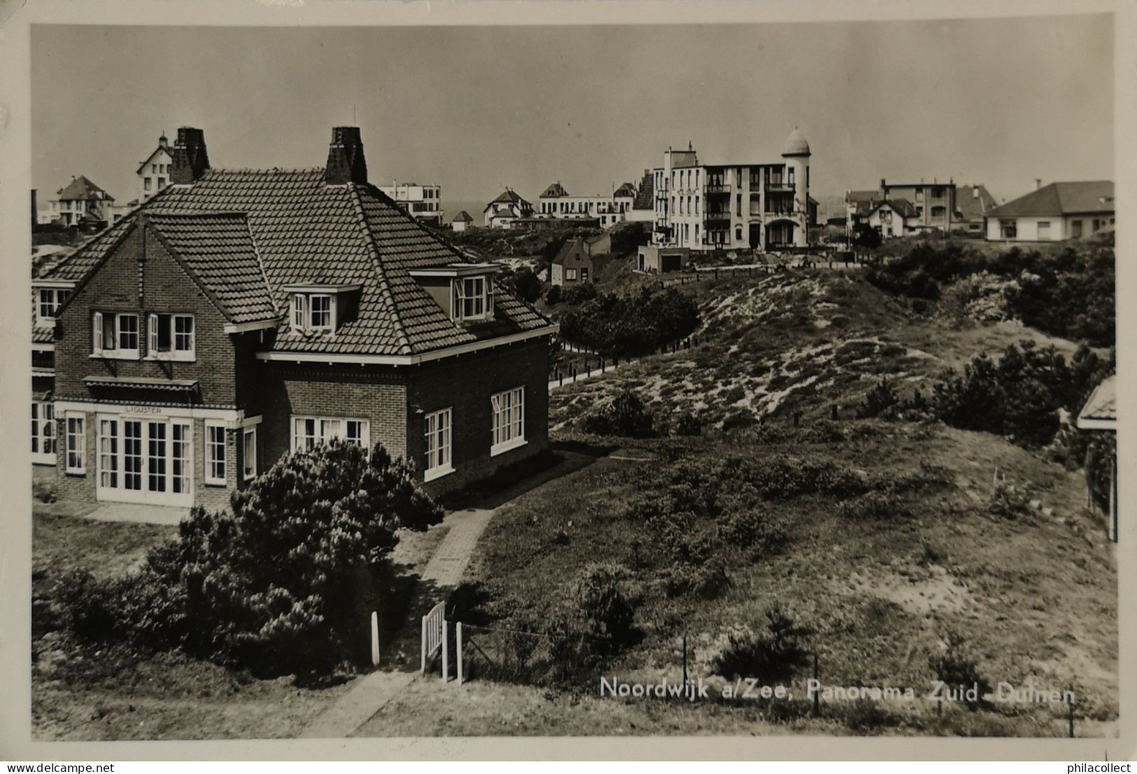 Noordwijk Aan Zee // Panorama Zuid Duinen 1954 - Noordwijk (aan Zee)