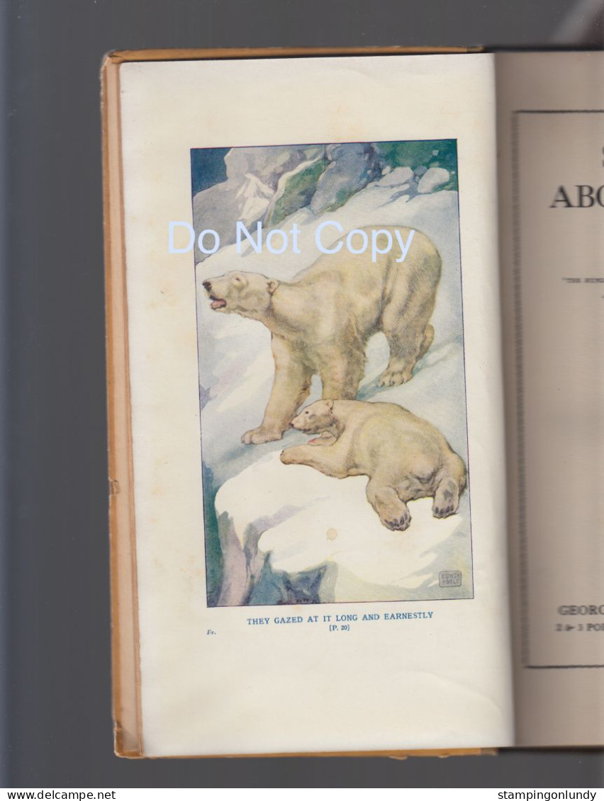 14. Stories About Bears Lilian Gask 1916 1st/First Harrap George G Harrap & Company Retirment Sale Price Slashed! - Wildlife