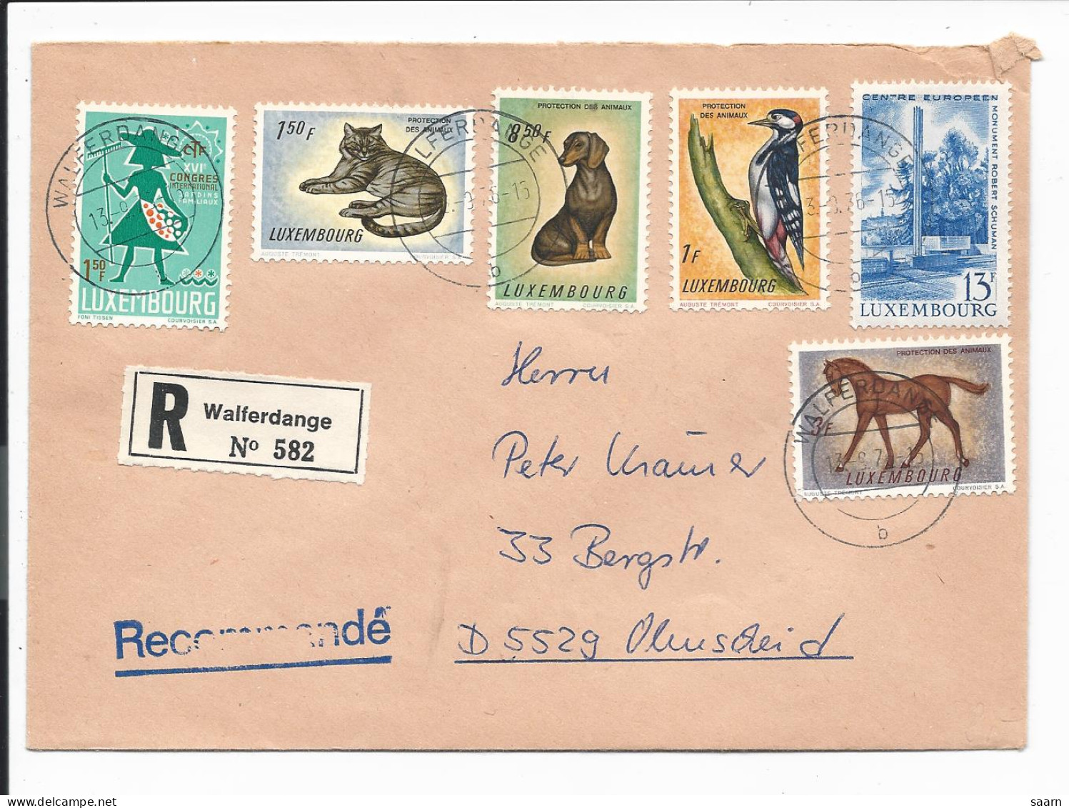 Motiv Pferde, Katze, Hund, Specht - Luxemburg Einschreiben-Brief Von 1976 - Ferme