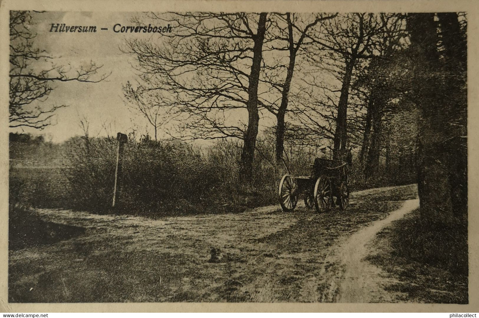 Hilversum // Corversbosch (Paard En Wagen) 1930 - Hilversum