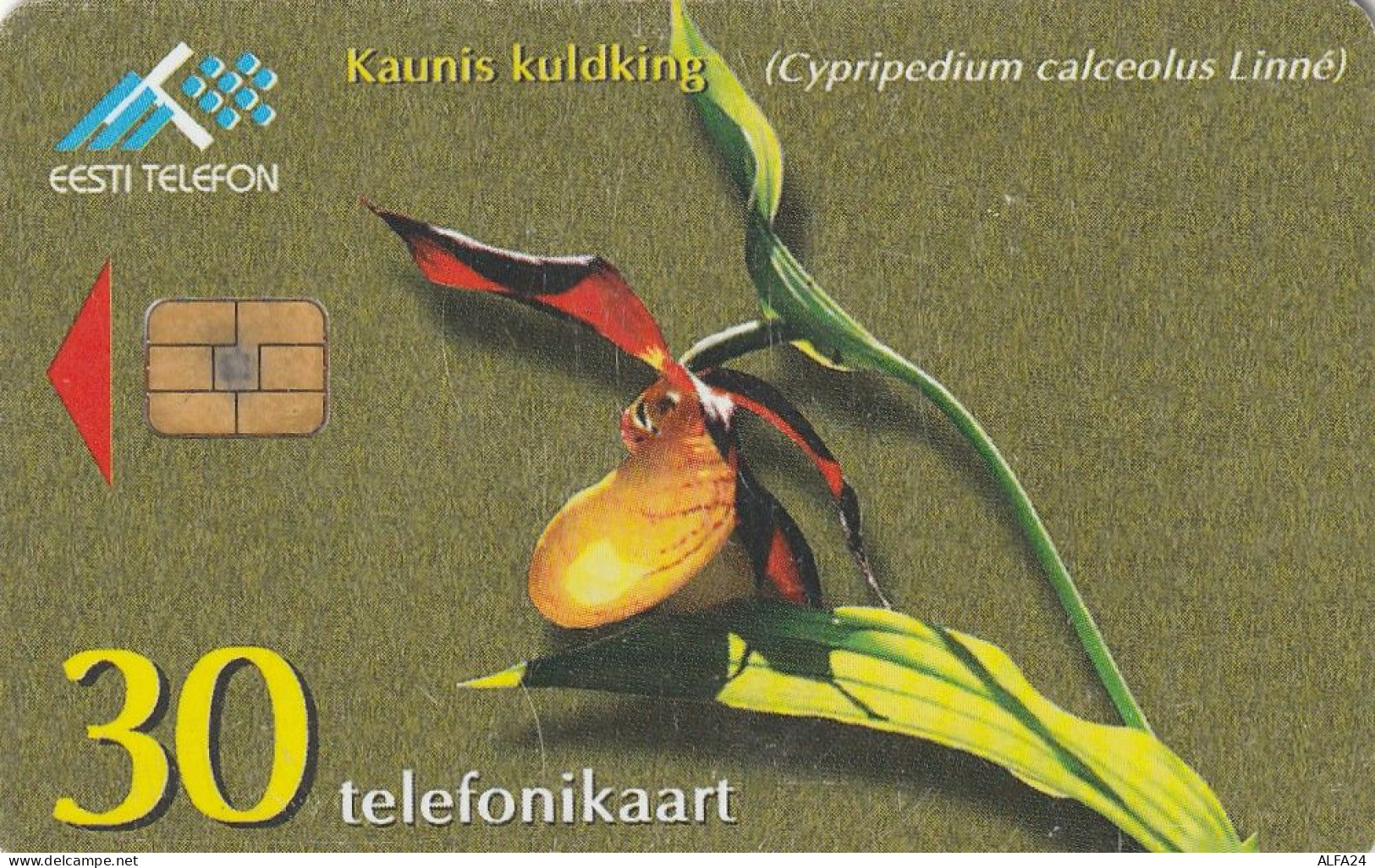 PHONE CARD ESTONIA  (H28.4 - Estland