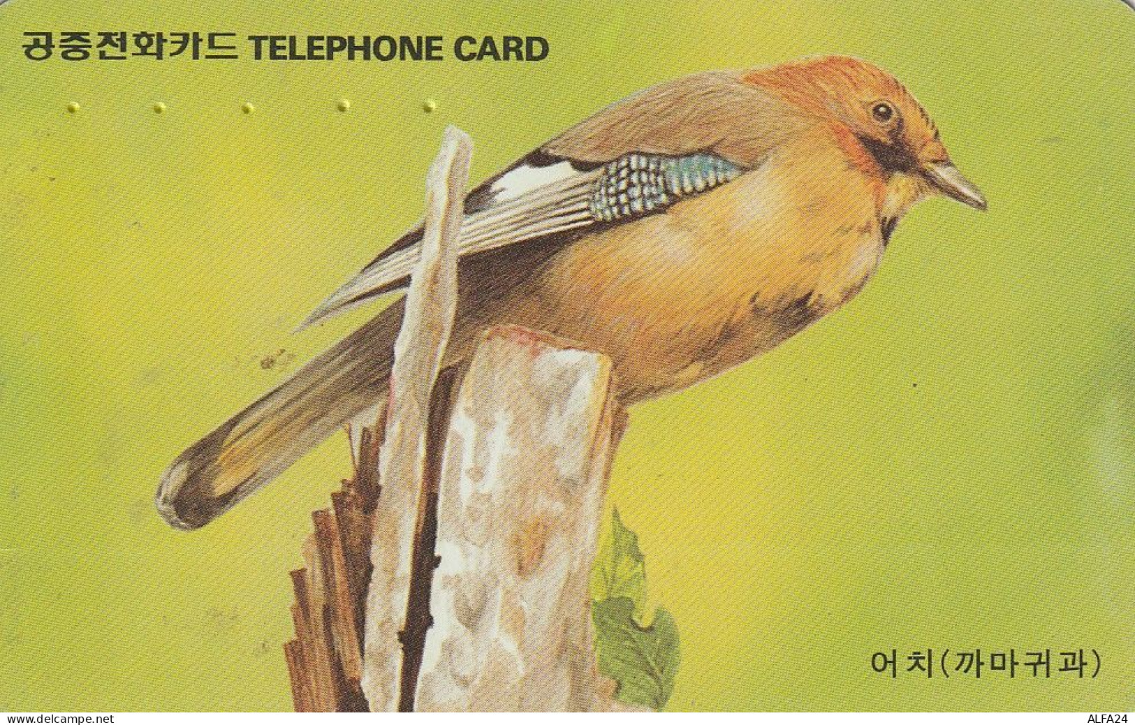 PHONE CARD COREA SUD  (H31.8 - Korea (Süd)