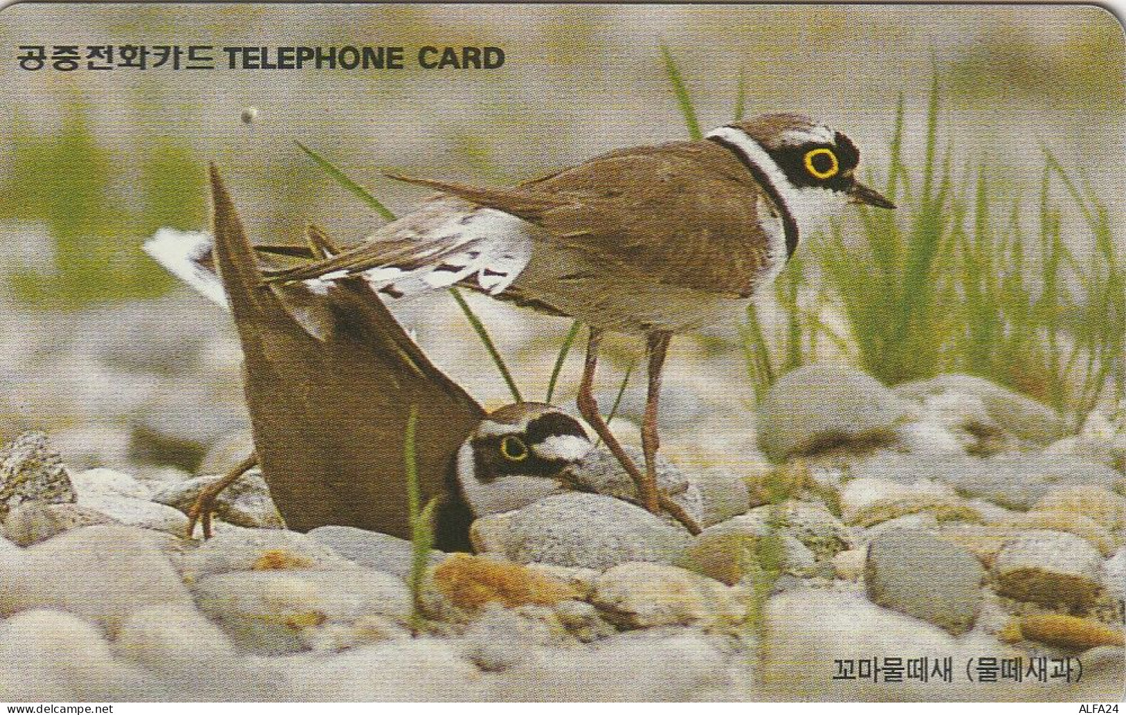 PHONE CARD COREA SUD  (H35.5 - Korea (Zuid)