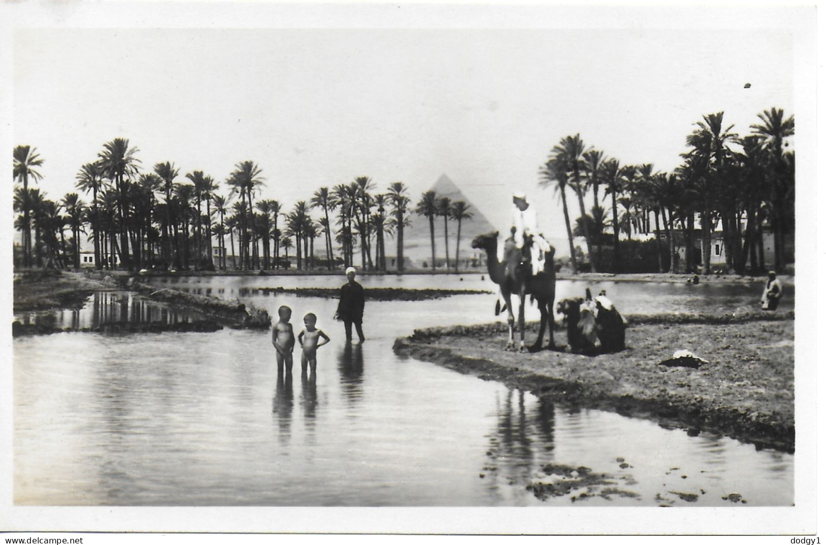 LANDSCAPE NEAR THE PYRAMIDS, EGYPT. UNUSED POSTCARD   Ms8 - Pyramids