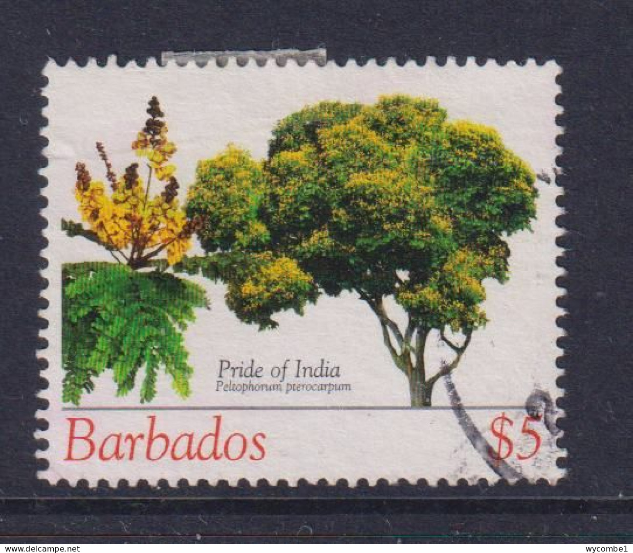 BARBADOS   - 2005 Flowering Trees $5 Used As Scan - Barbados (1966-...)