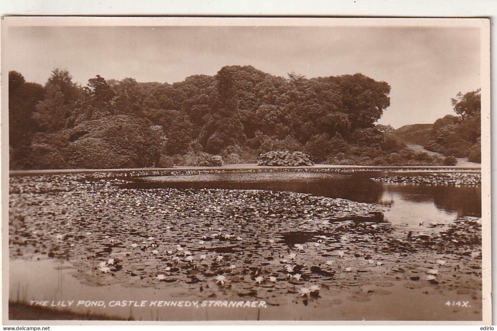 ***   ECOSSE ***  The Lily Pond Castel Kennedy  STRANRAER - Unused TTBE  - Dumfriesshire