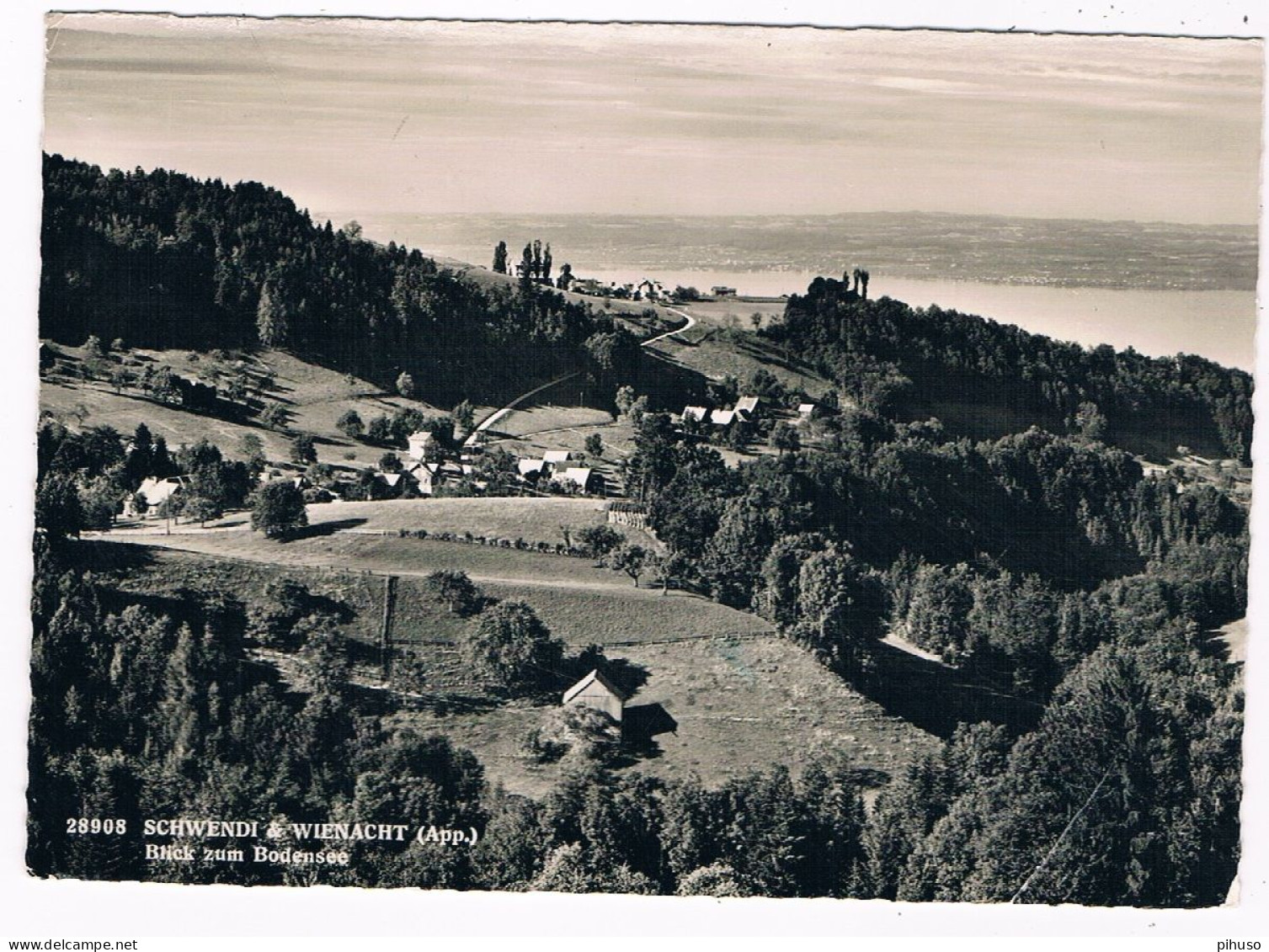 CH-8251   SCHWENDI & WIENACHT : Blick Zum Bodensee - Schwende