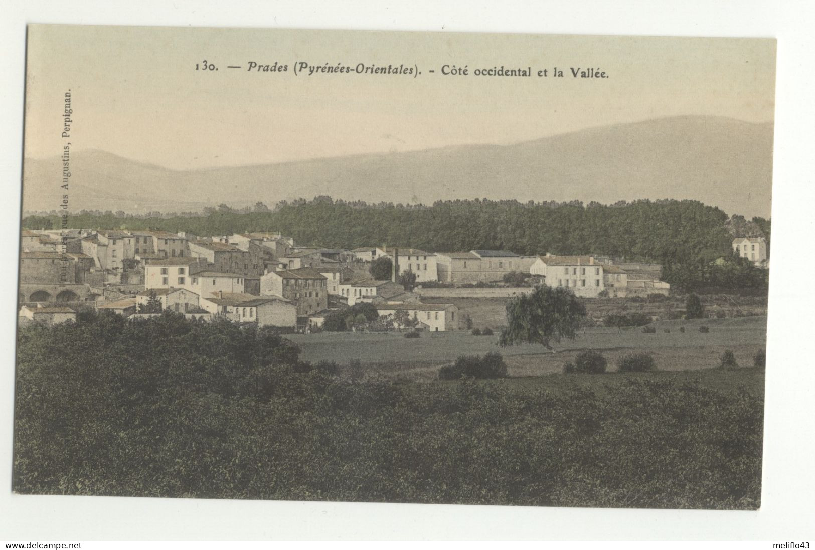 66/CPA - Prades - Coté Occidental Et La Vallée - Prades