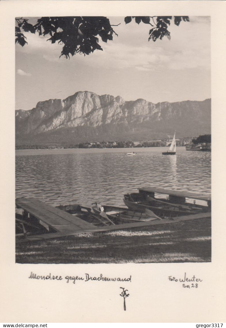 E1467) MONDSEE Gegen Drachenwand - Foto WENTER - - Boote Segelboot - See ALT ! - Mondsee