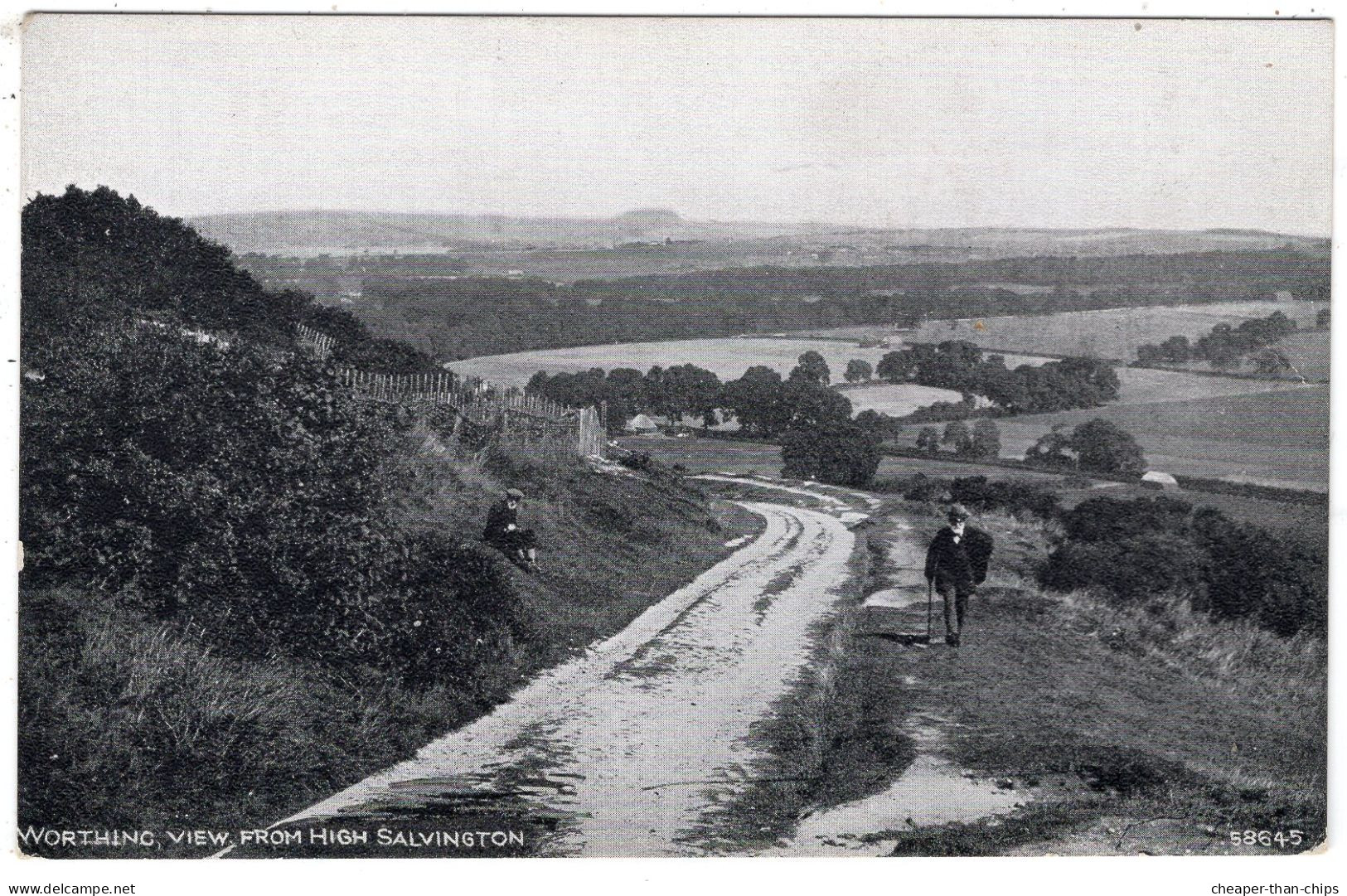 WORTHING - View From High Salvington - Photochrom Grano 58645 - Worthing