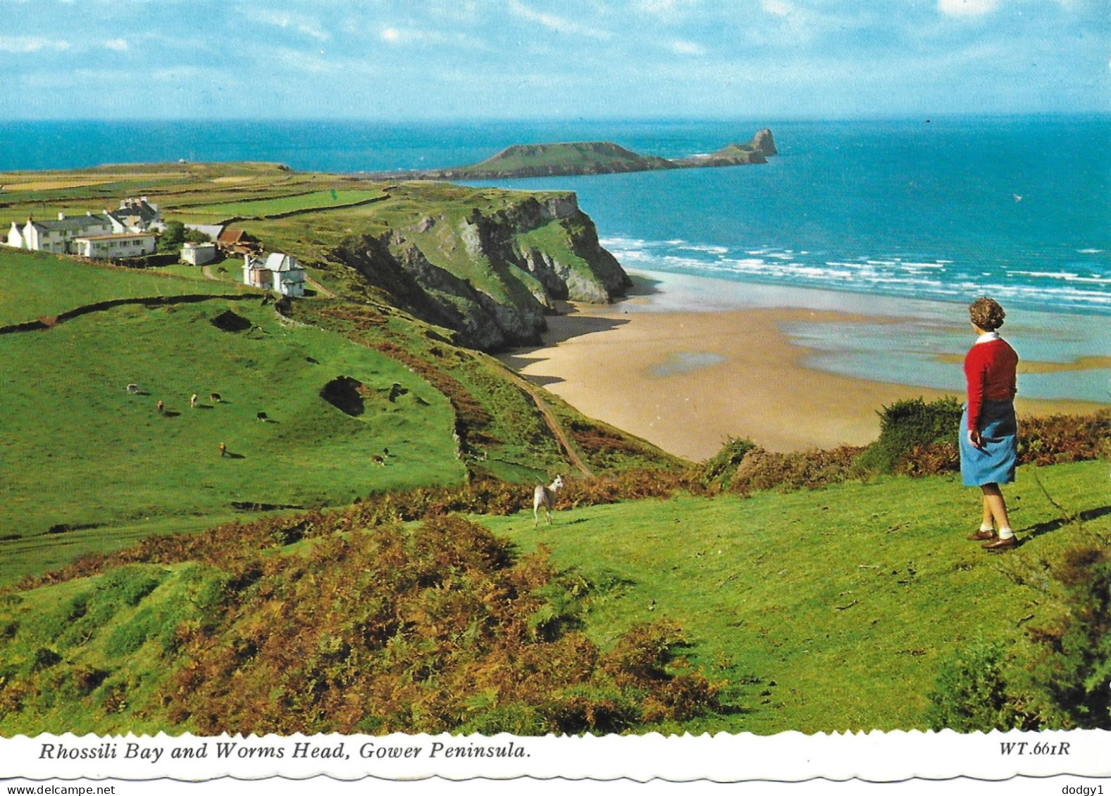 RHOSSILI BAY AND WORMS HEAD, GOWER PENINSULA, GLAMORGAN, WALES. UNUSED POSTCARD   Hold 9 - Glamorgan