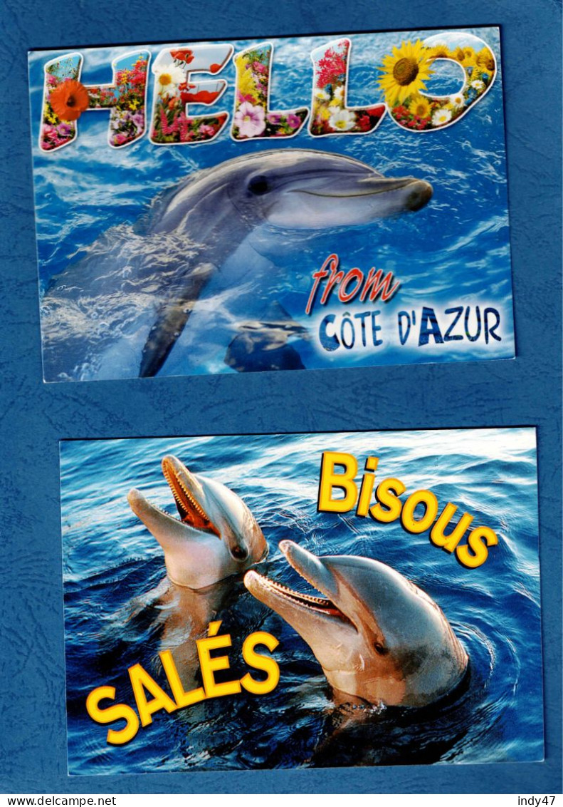 ANIMAUX :  DAUPHINS - Lot 6 Cartes Postales - - Dolphins