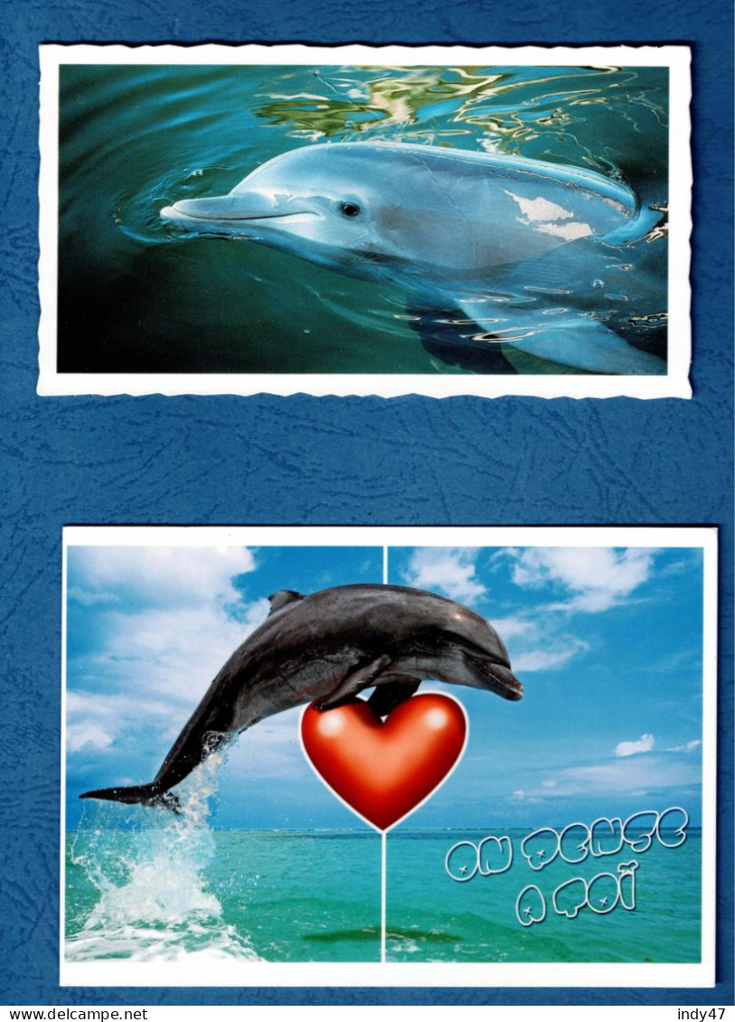ANIMAUX :  DAUPHINS - Lot 6 Cartes Postales - - Dolphins