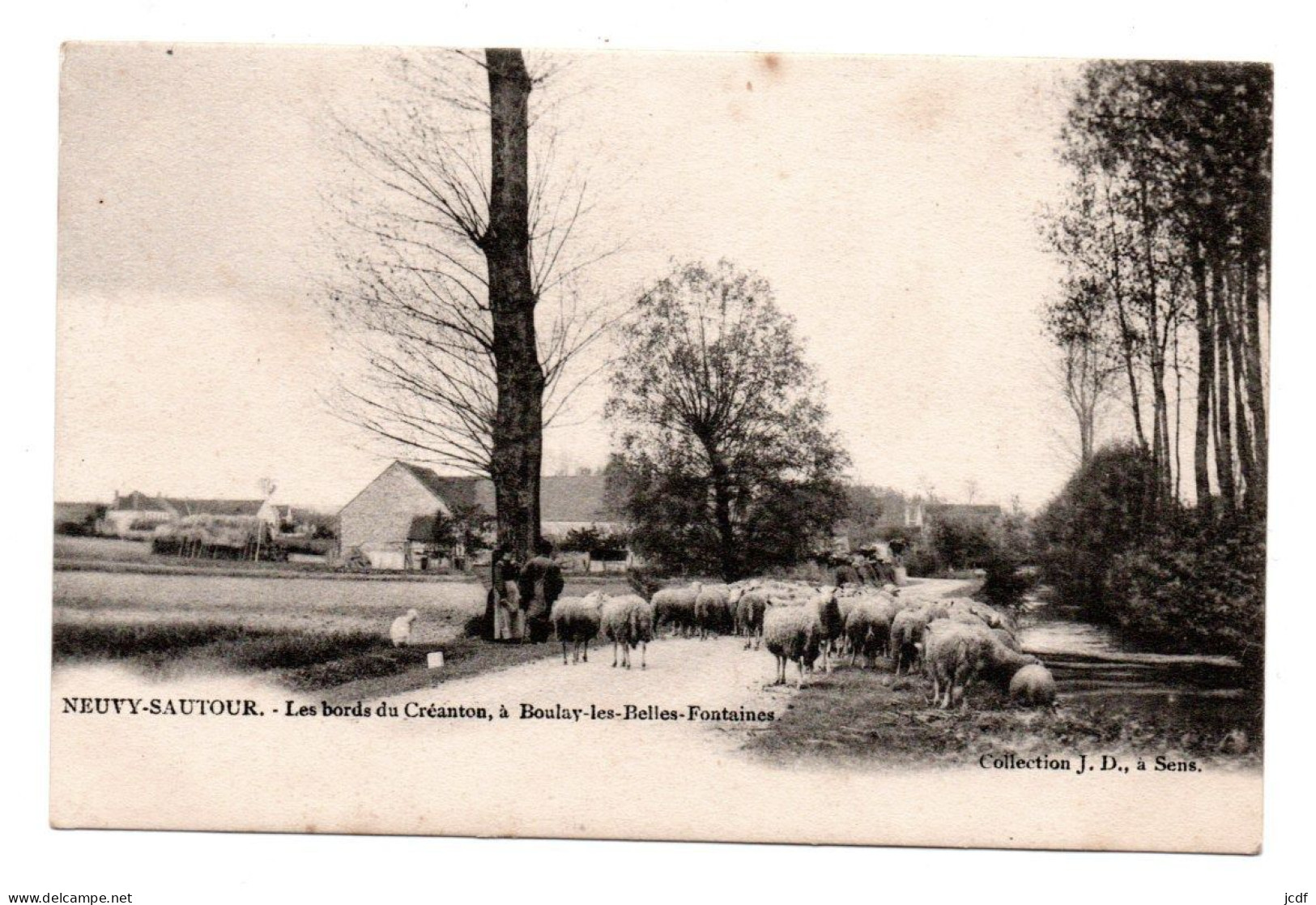 89 NEUVY SAUTOUR - Les Bords Du Créanton - Boulay Les Belles Fontaines - Coll JD - Berger Et Ses Moutons - Neuvy Sautour
