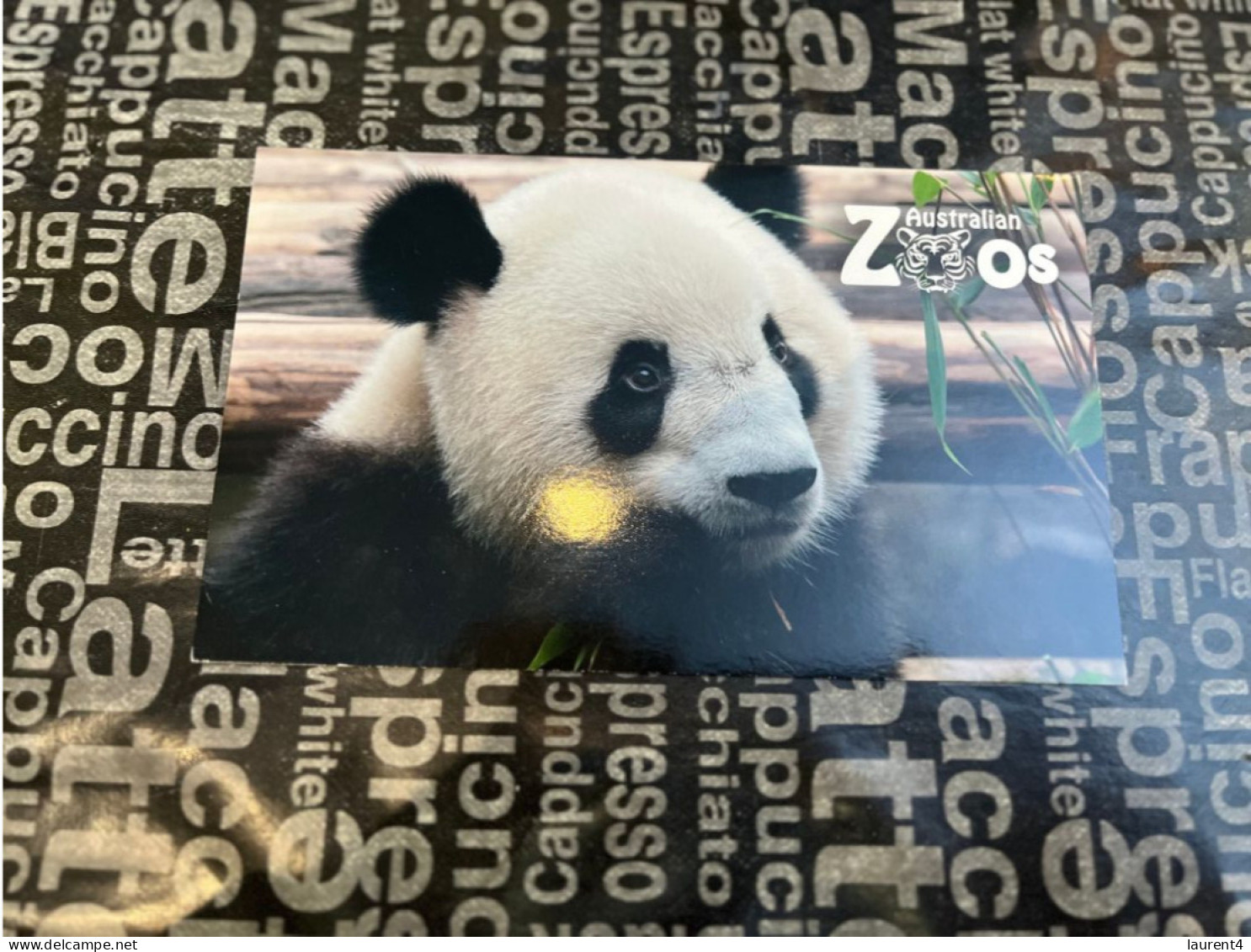 1-1-2024 (4 W 5) Australia Stamp Pack - Autralian Zoo (1 M/s + 7 Stamps) Panda Etc - Presentation Packs