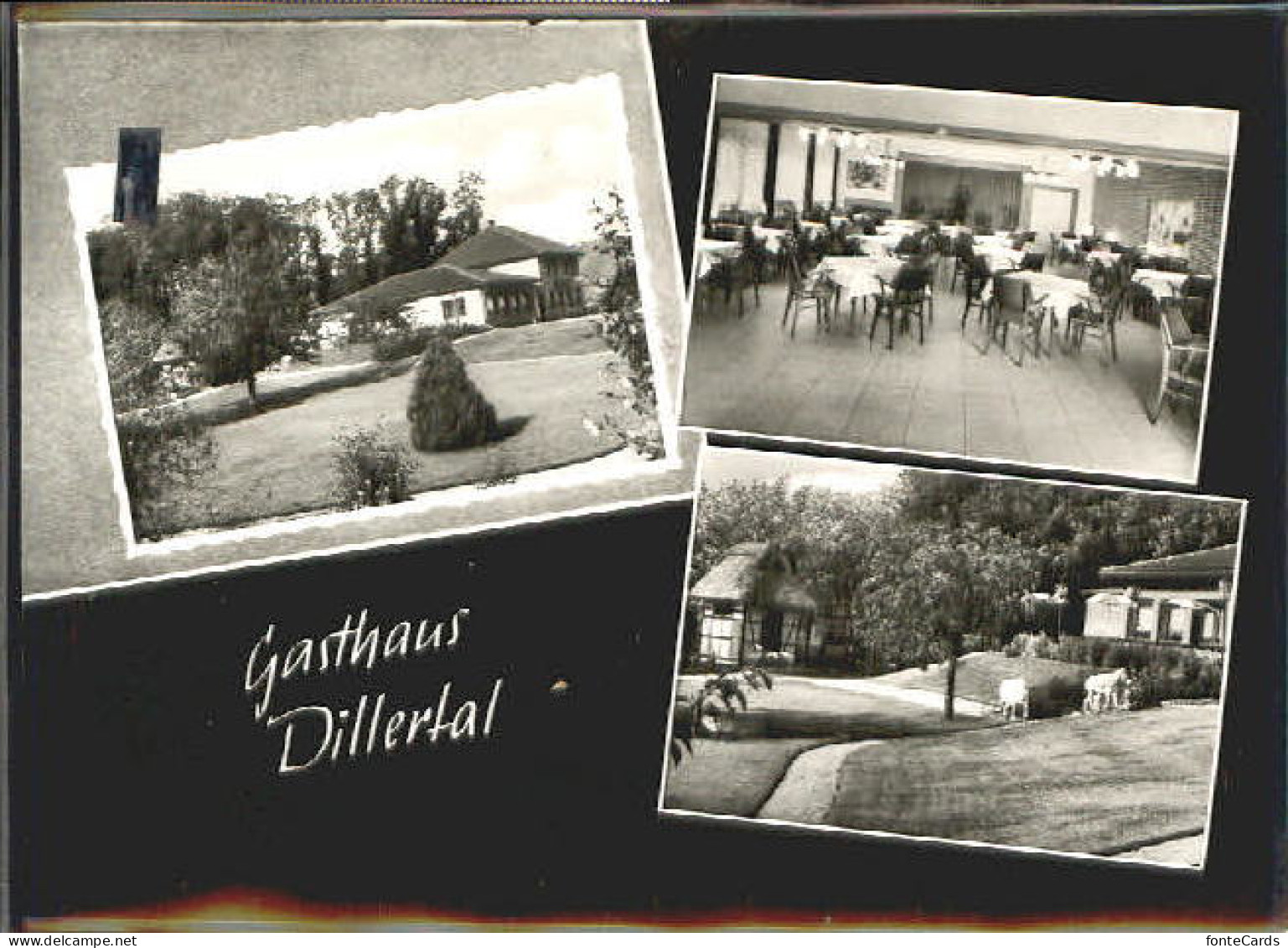 10382102 Dille Dille - Heiligenberg Gasthaus Dillertal O 1968 - Autres & Non Classés