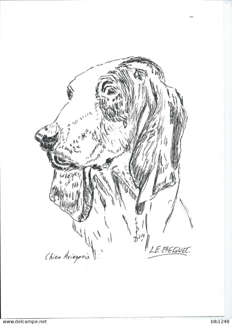 Art & Antiquités > Tableaux > Dessins  Ariegeois Chien De Chasse Veritable Encre Originale   De Bernard Le Beguec - Dessins