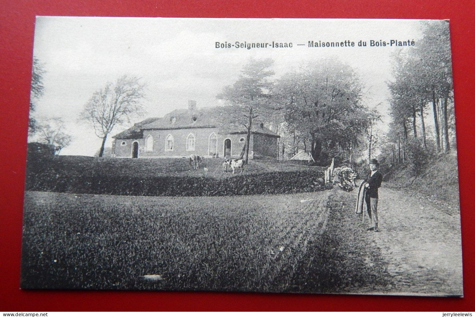 BOIS-SEIGNEUR-ISAAC  -  Maisonnette Du Bois-Planté - Eigenbrakel