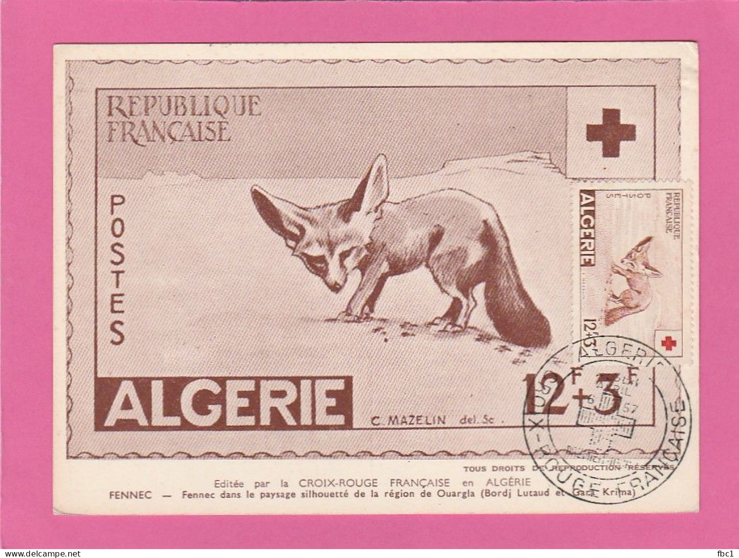 Algérie - Carte Maximum 1957 - YT N°343 - Croix Rouge - Fennec - Maximumkarten