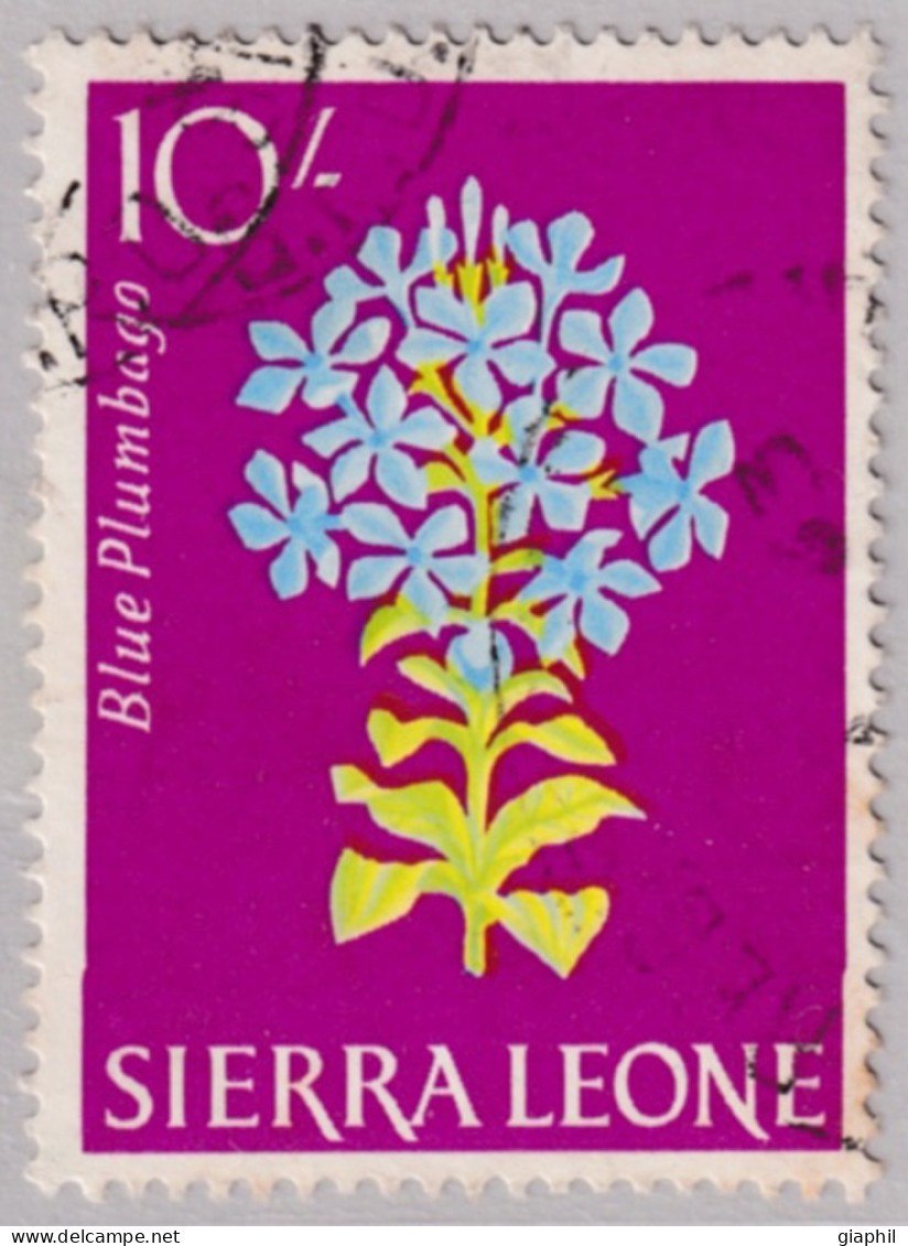 SIERRA LEONE 1963 FLOWERS 10 SH (SG 253) USED OFFER! - Sierra Leone (...-1960)