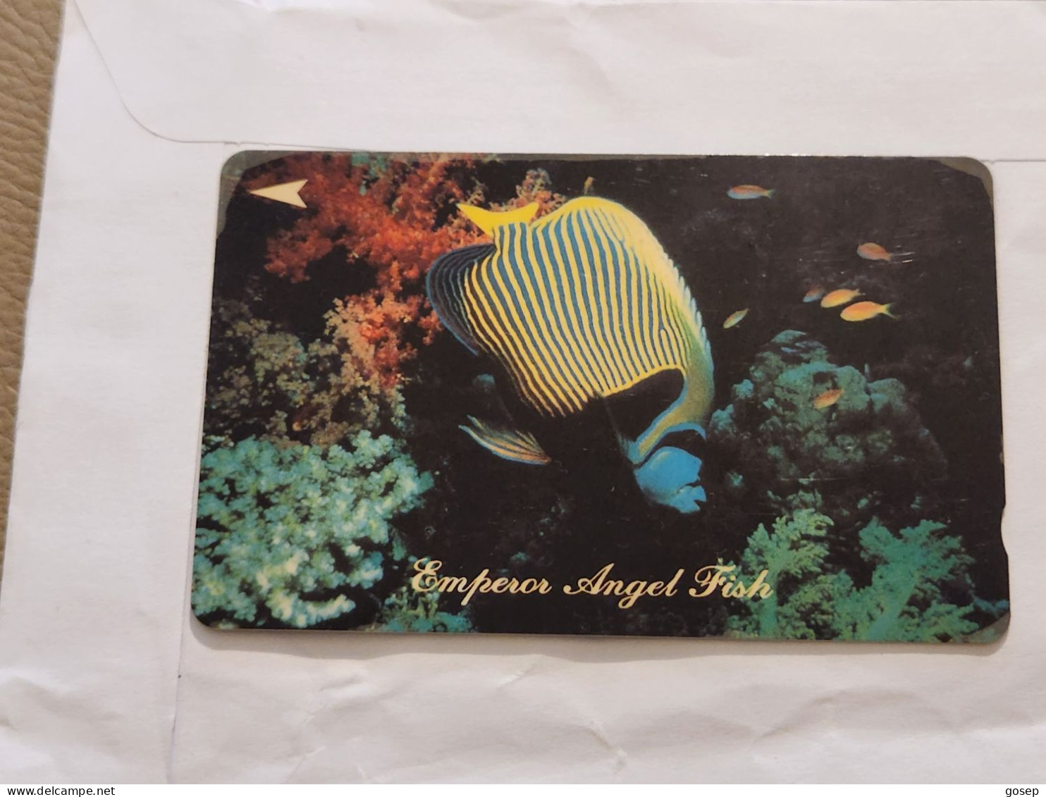 SINGAPORE-(28SIGC)-Colourful Wrasse-(63)(28SIGC-058624)($20)(1/1/1993)-used Card+1card Prepiad Free - Singapour