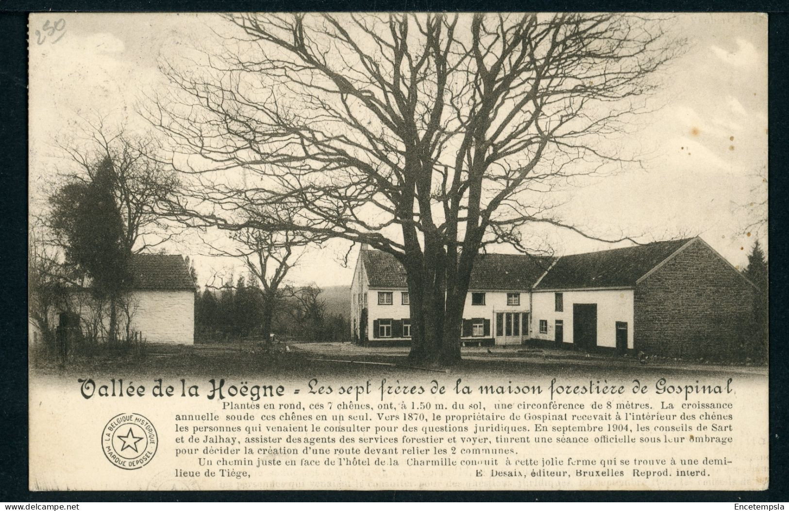 CPA - Carte Postale - Vallée De La Hoëgne - Les Sept Frères De La Maison Forestière De Gospinal (CP23970) - Jalhay