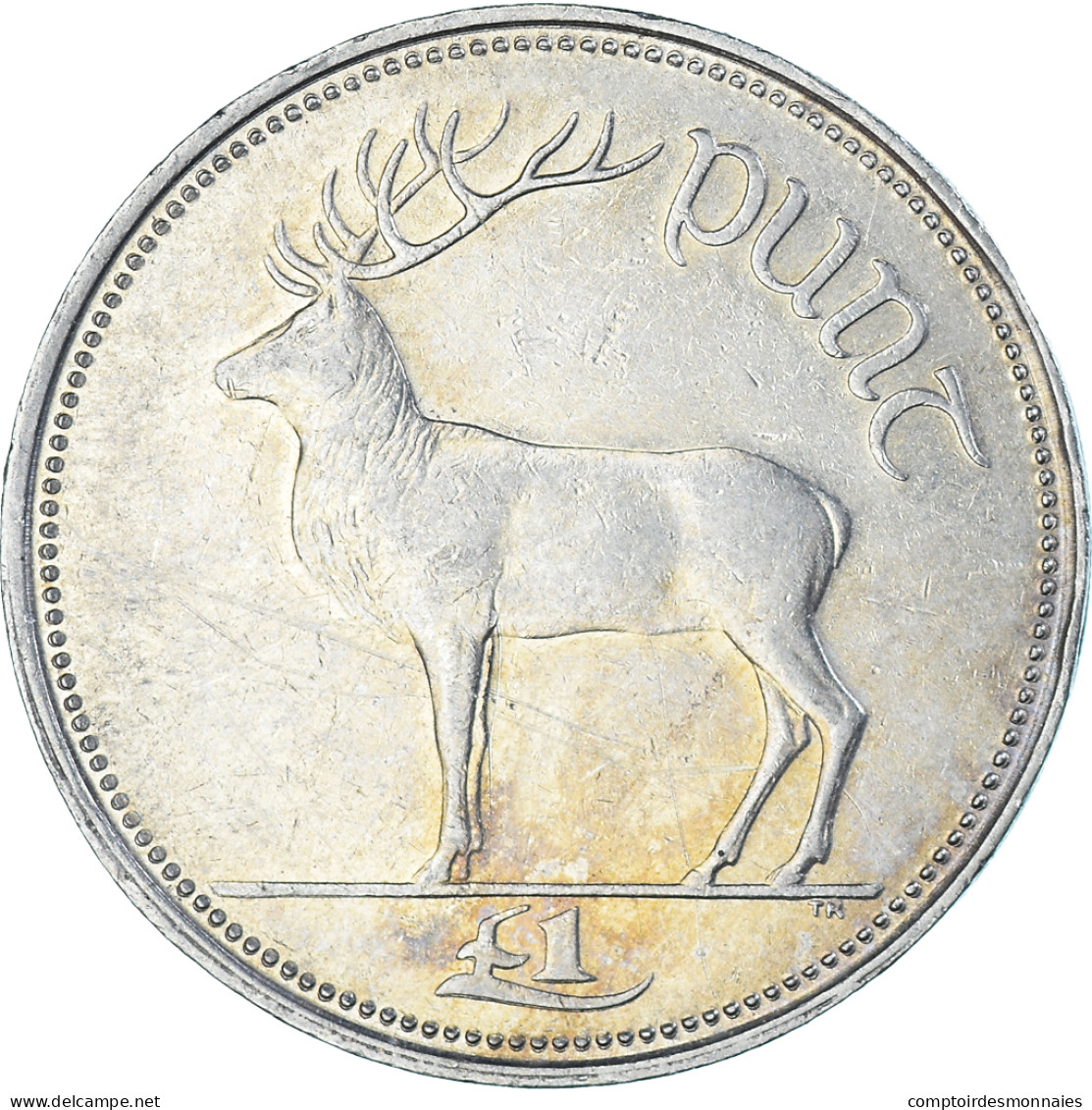 Monnaie, Irlande, Punt, Pound, 1996 - Irland