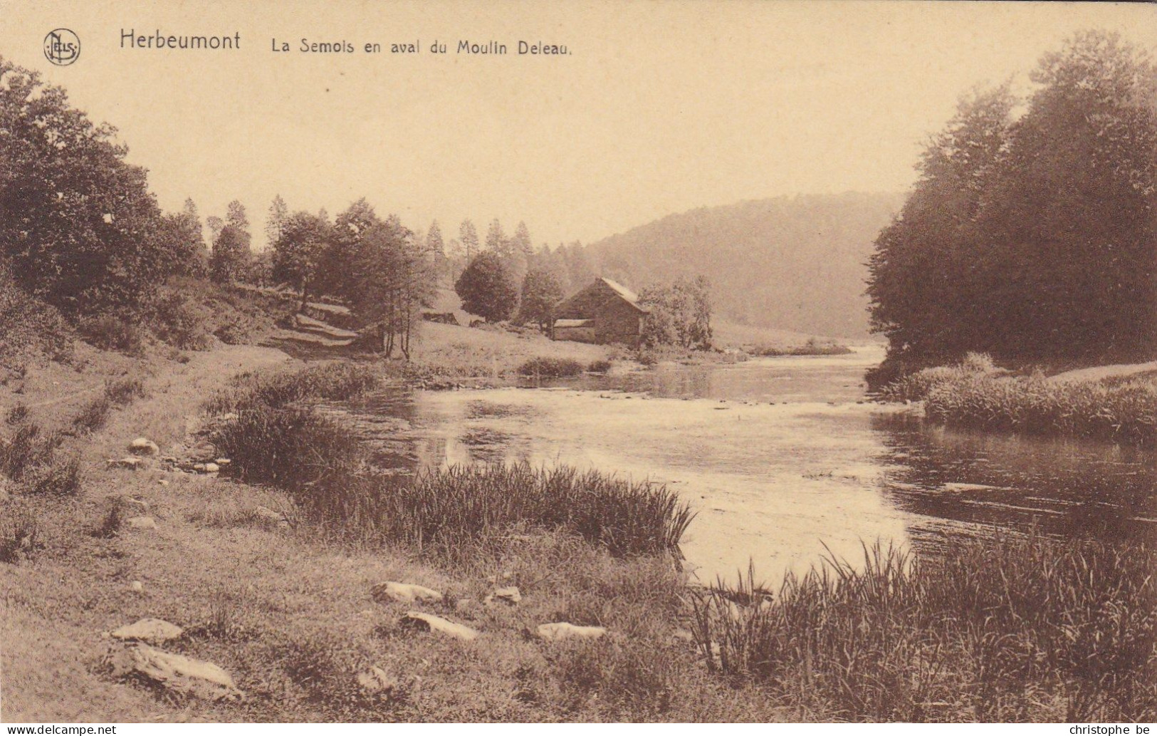 Herbeumont, La Semois En Aval Du Moulin Deleau (pk86711) - Herbeumont