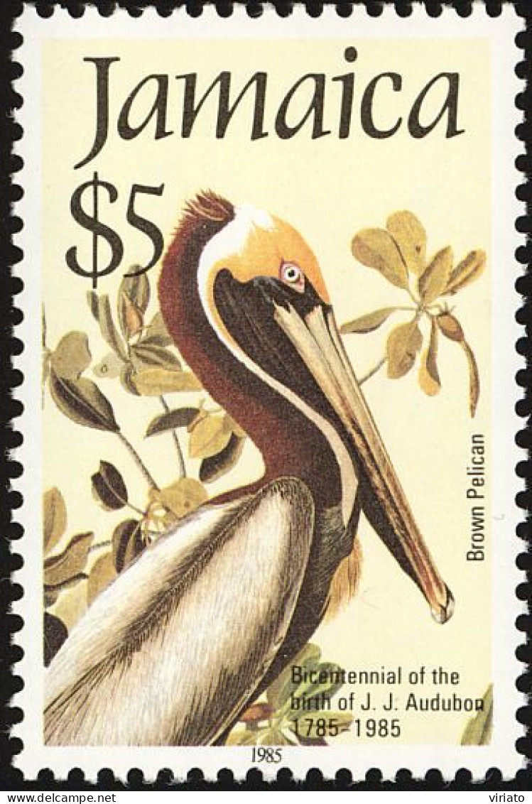 Jamaica 1985 (AVE194) (MNH) ( Mi 606) - Brown Pelican (Pelecanus Occidentalis) - Pelicans