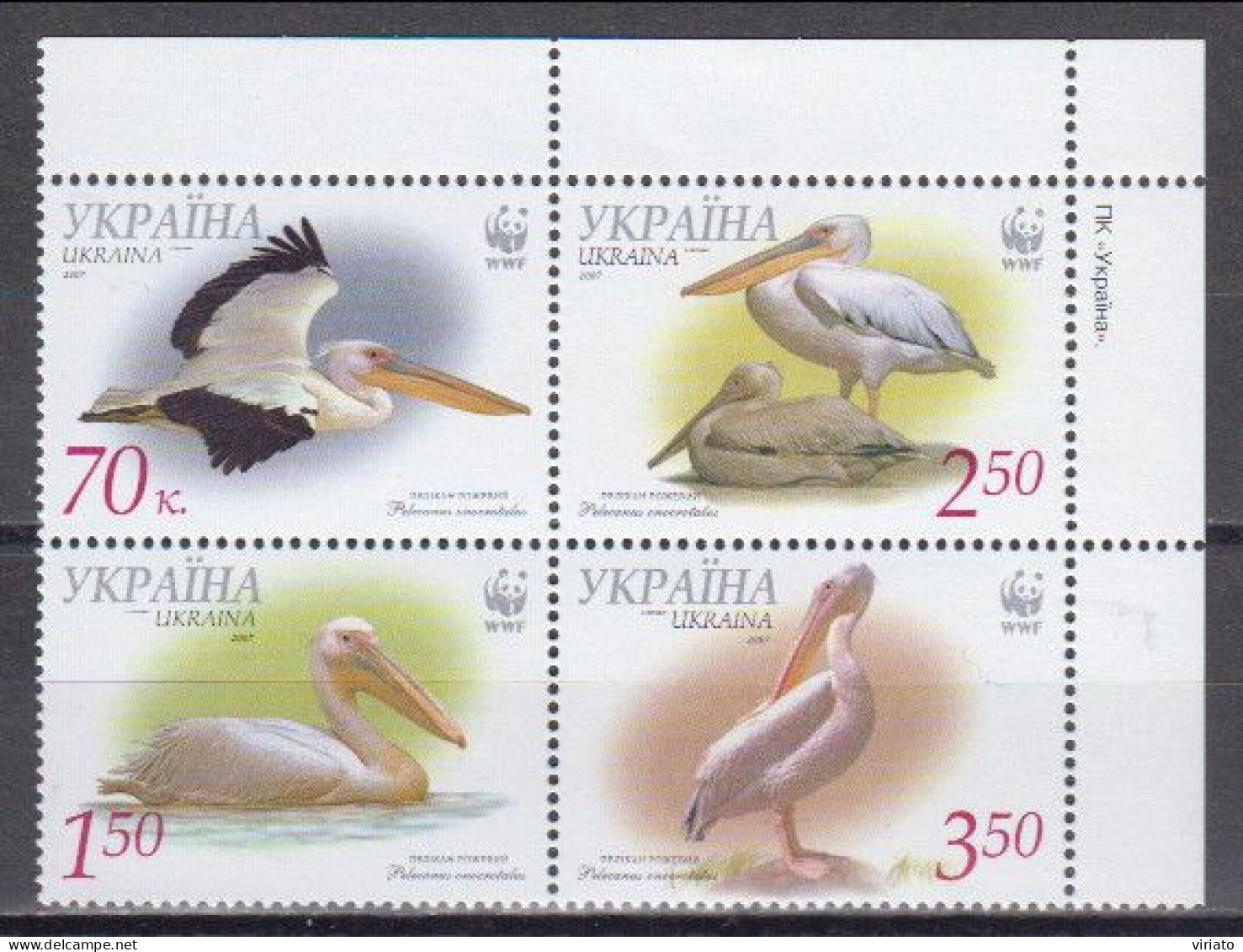 Ukraine 2007 (AVE181) (MNH) (Mi 897C-900C (D 11.5) - Great White Pelican (Pelecanus Onocrotalus) - Pelicans