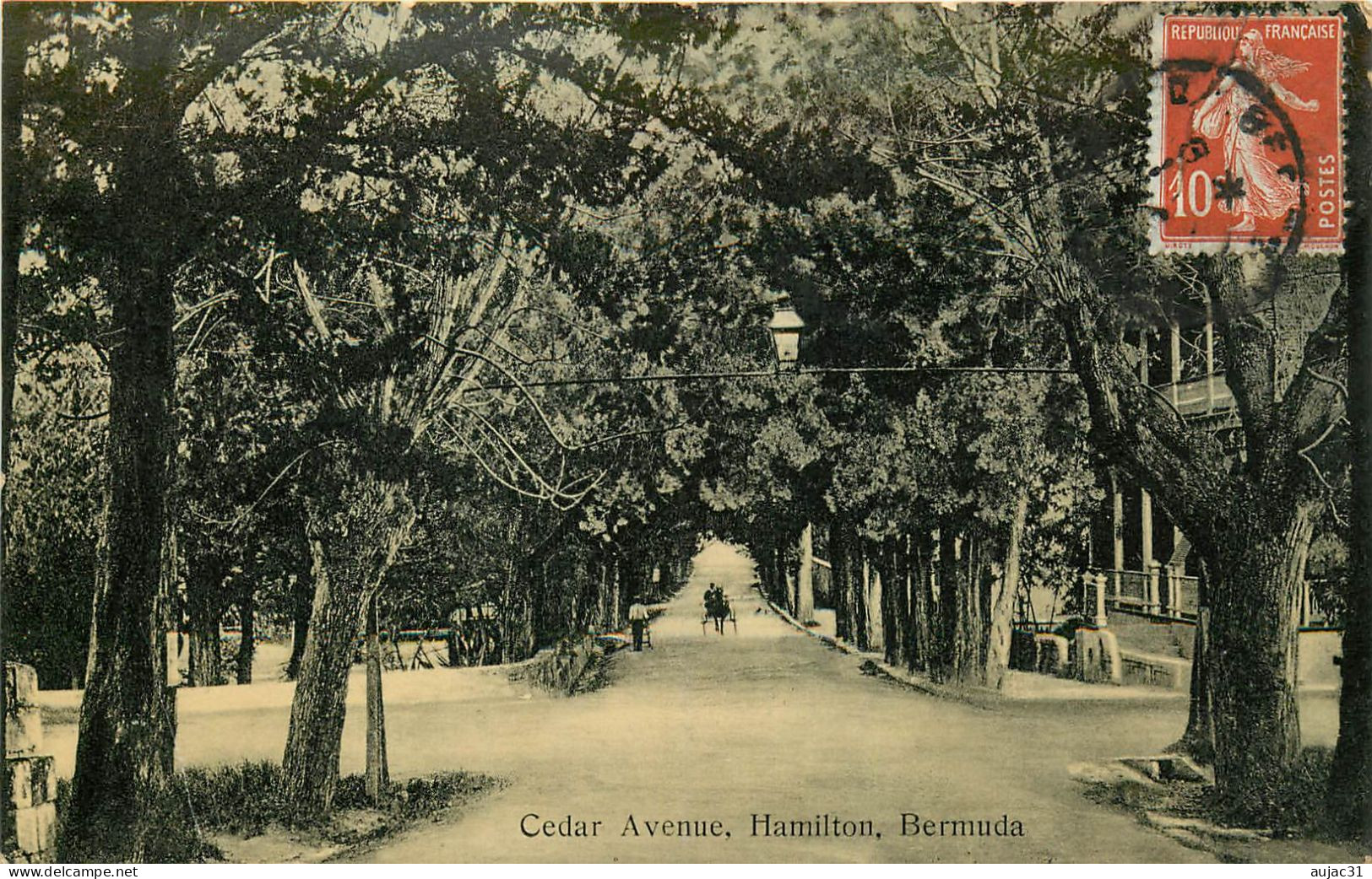 Antilles - Bermudes - Cedar Avenue - Hamilton - Bermuda - état - Bermuda