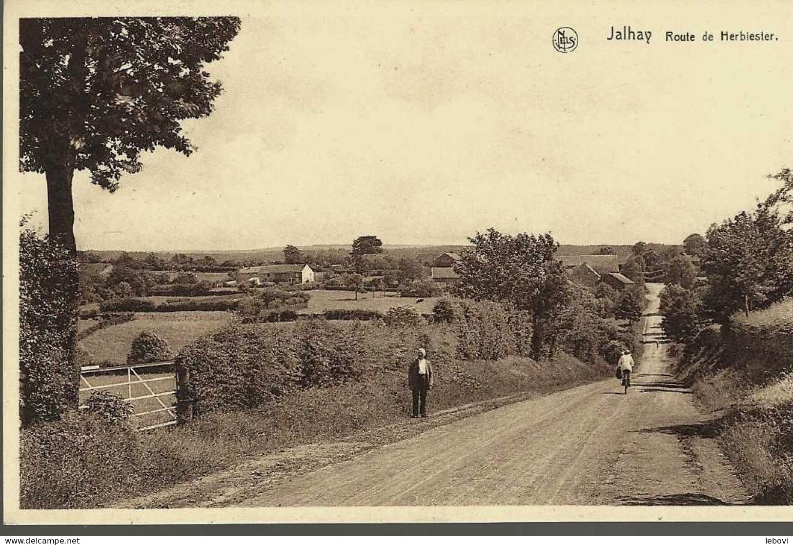 JALHAY « Route De HERBIESTER » - Nels - Jalhay